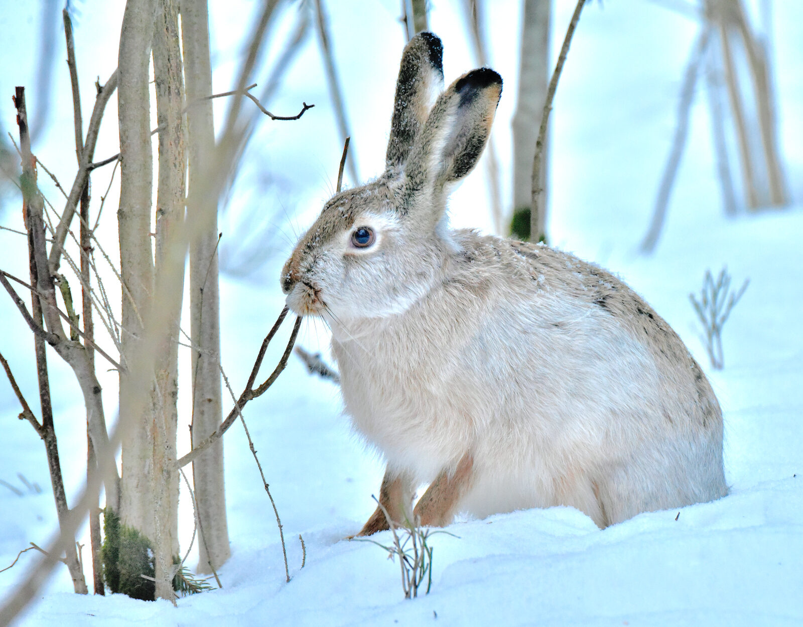 Valokuvaaja: Reijo Juurinen