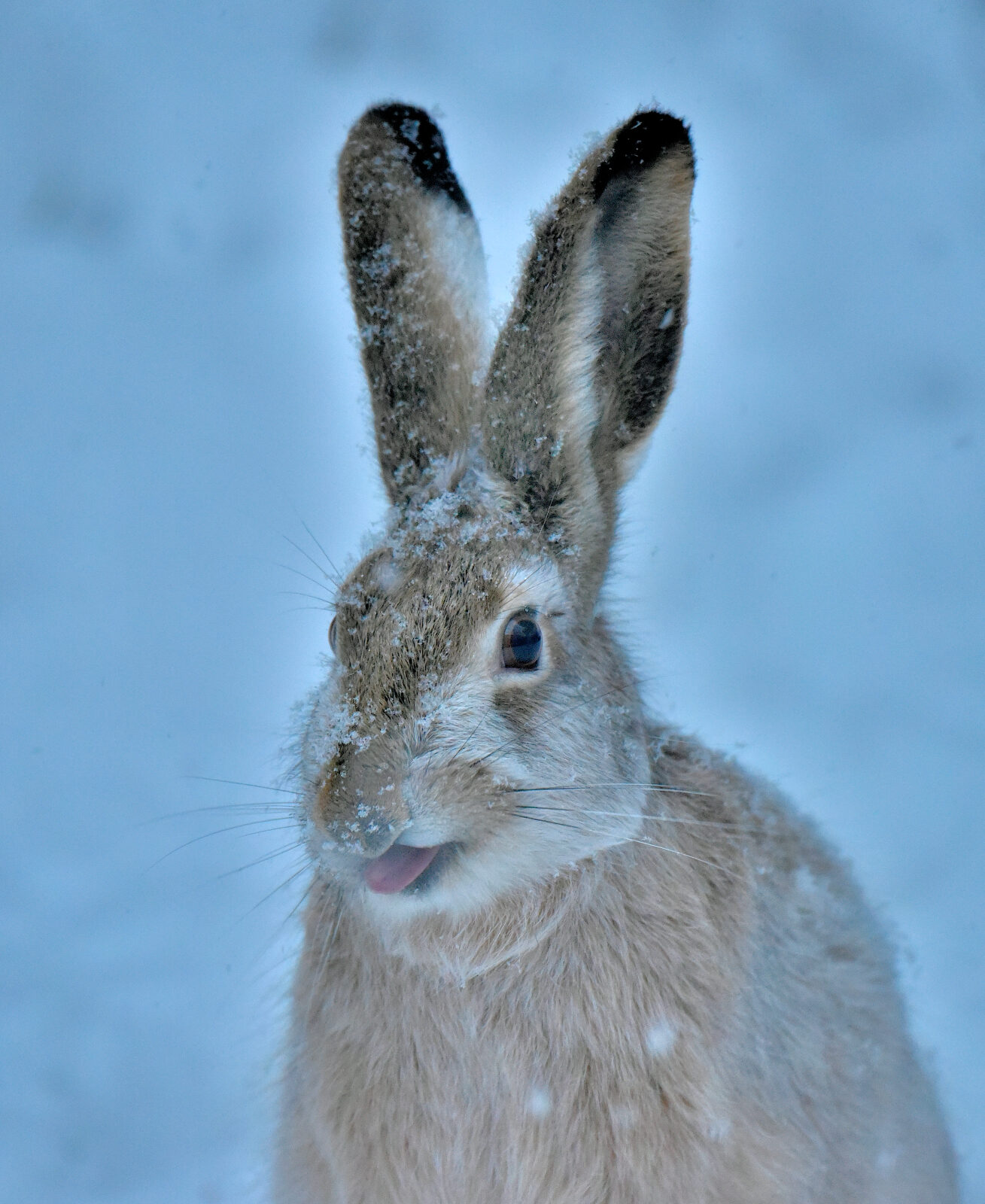 Valokuvaaja: Reijo Juurinen