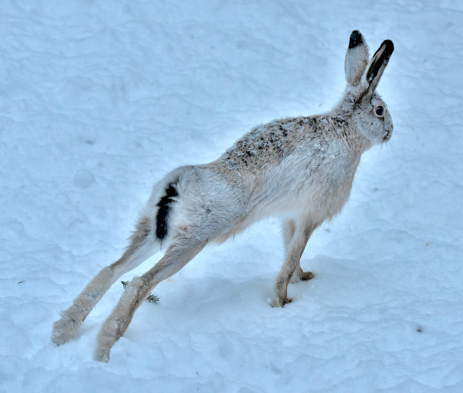 Valokuvaaja: Reijo Juurinen