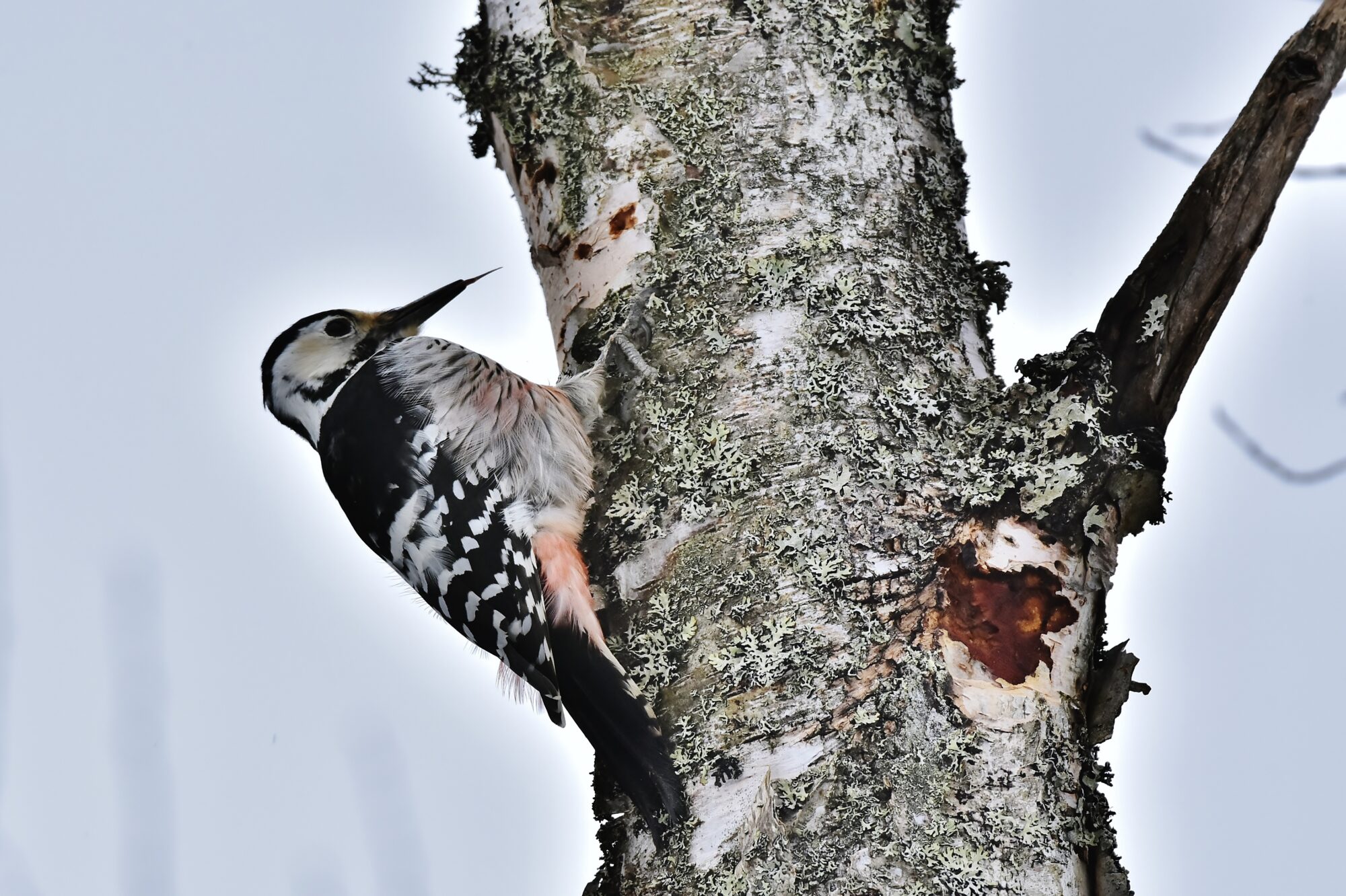 Valokuvaaja: Markku Pelkonen