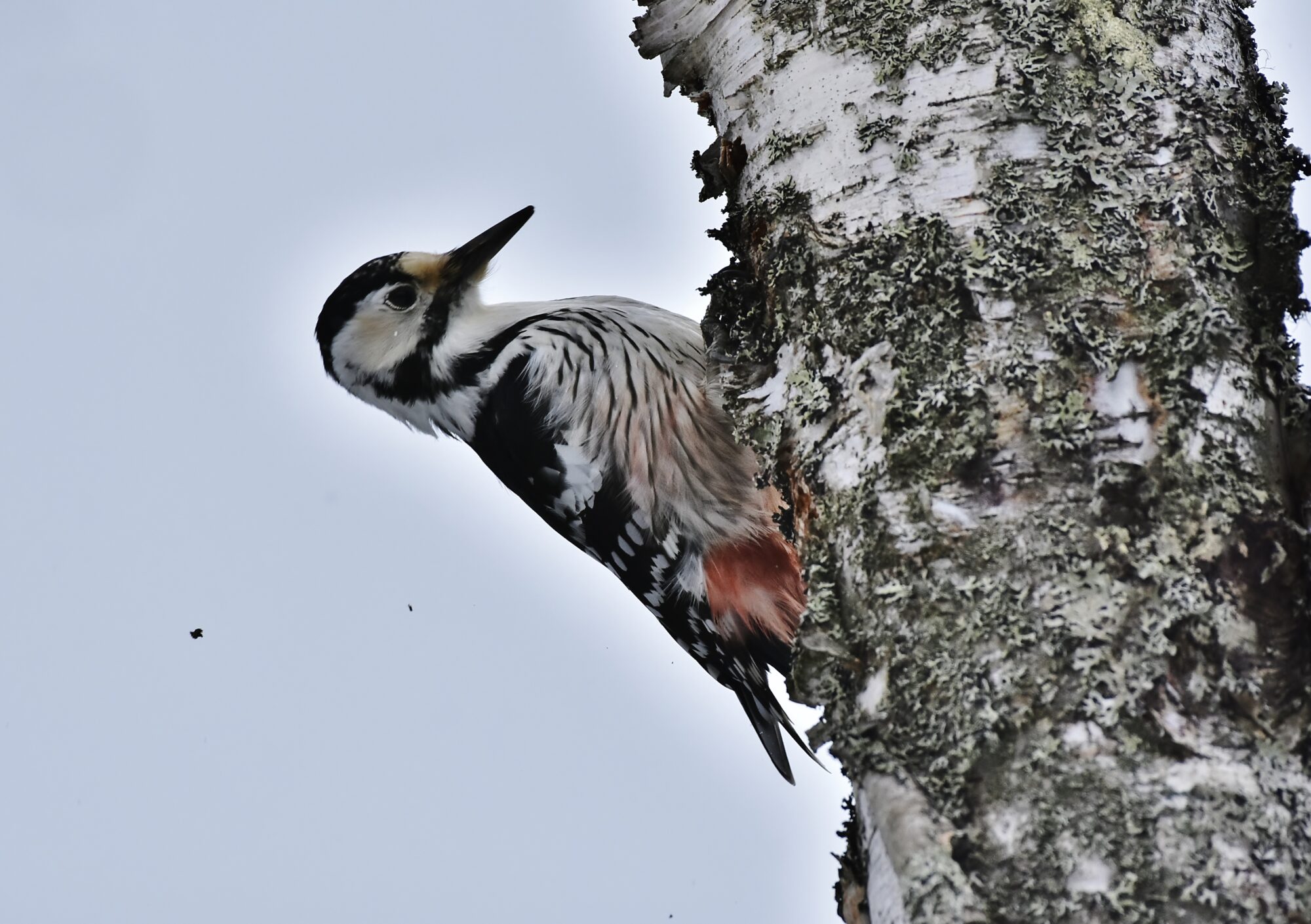 Valokuvaaja: Markku Pelkonen