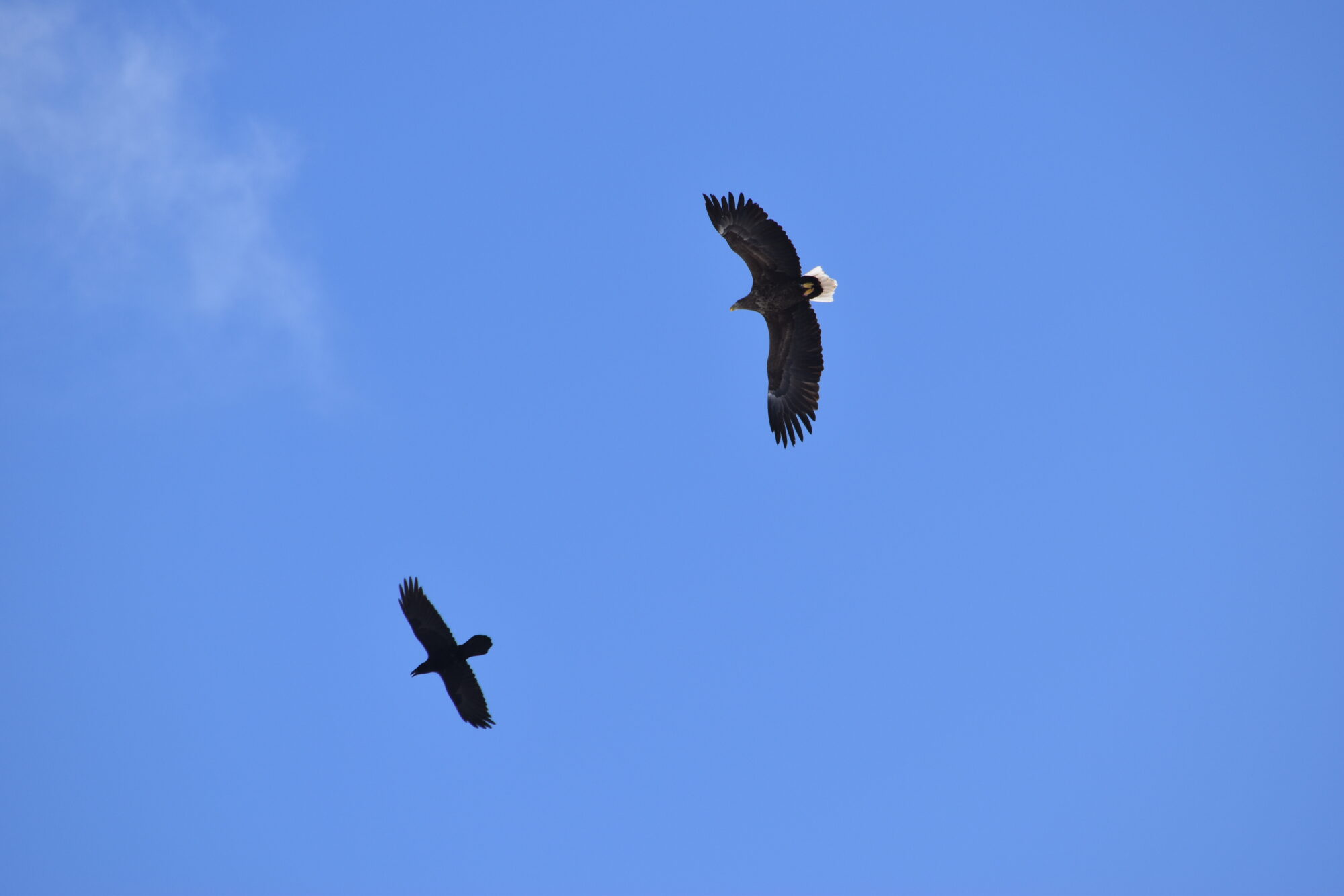 Valokuvaaja: Satu Välimaa