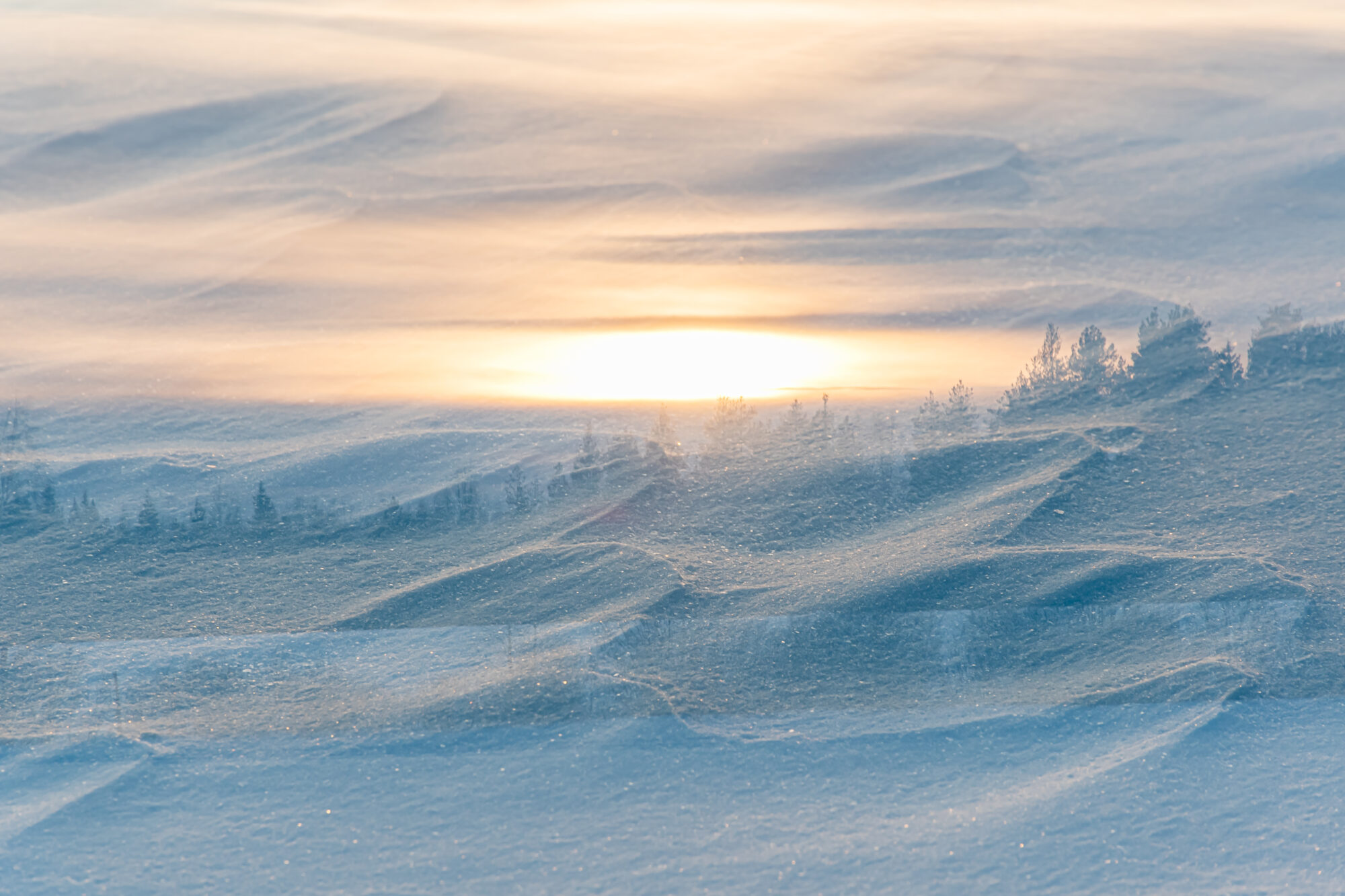 Valokuvaaja: Leena Rissanen