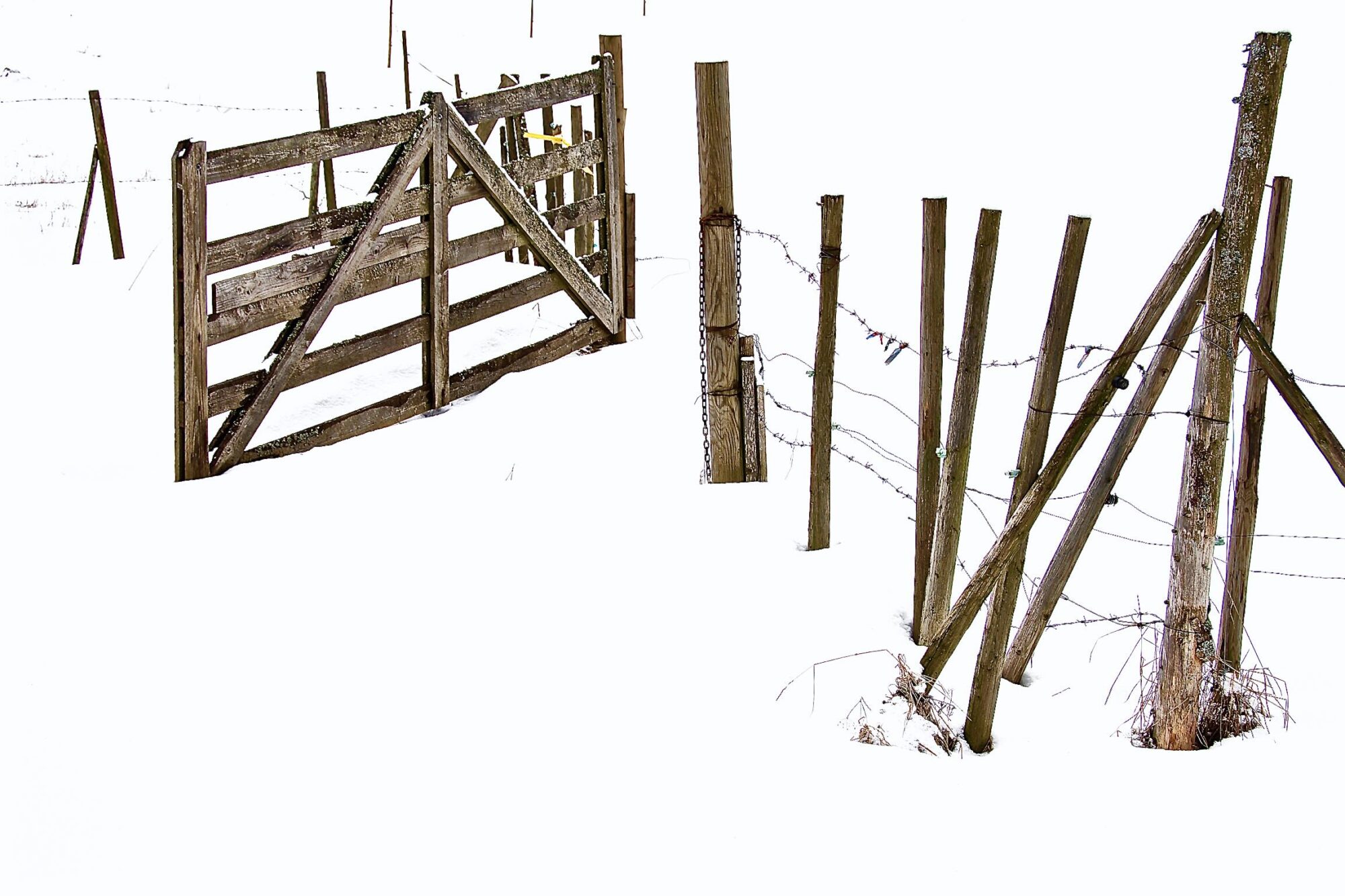 Valokuvaaja: Lasse Rokka