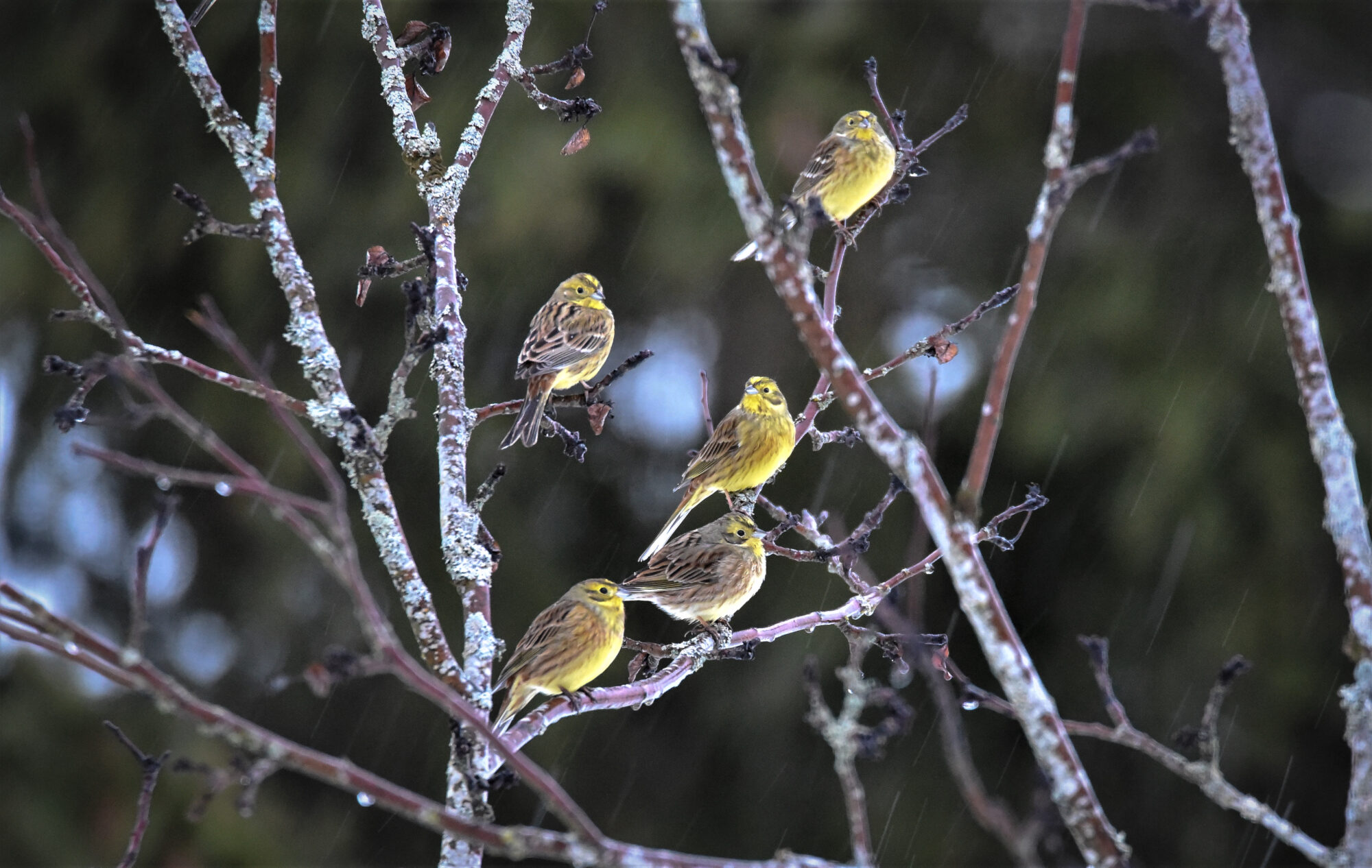 Valokuvaaja: Leena Latvala