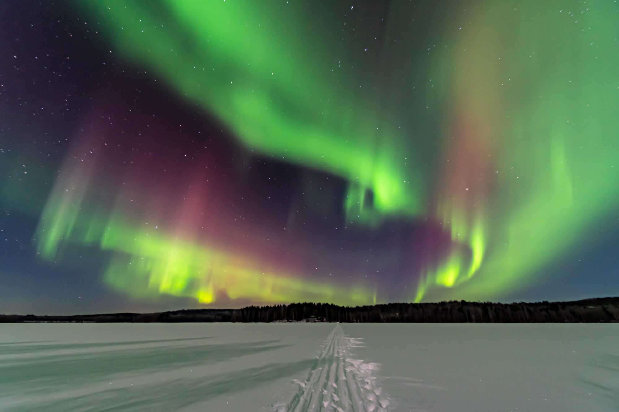 Valokuvaaja: Leena Rissanen