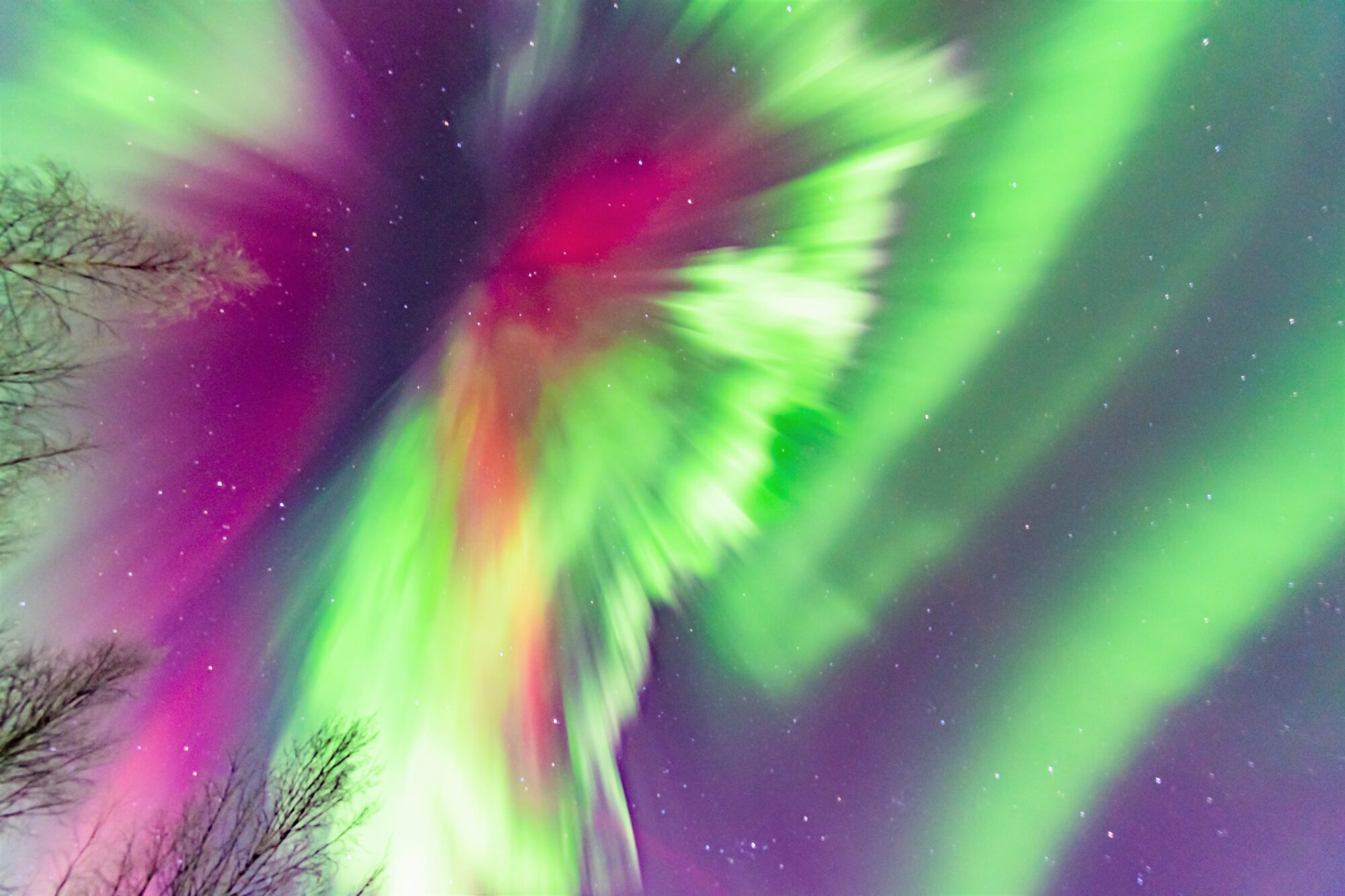 Valokuvaaja: Leena Rissanen