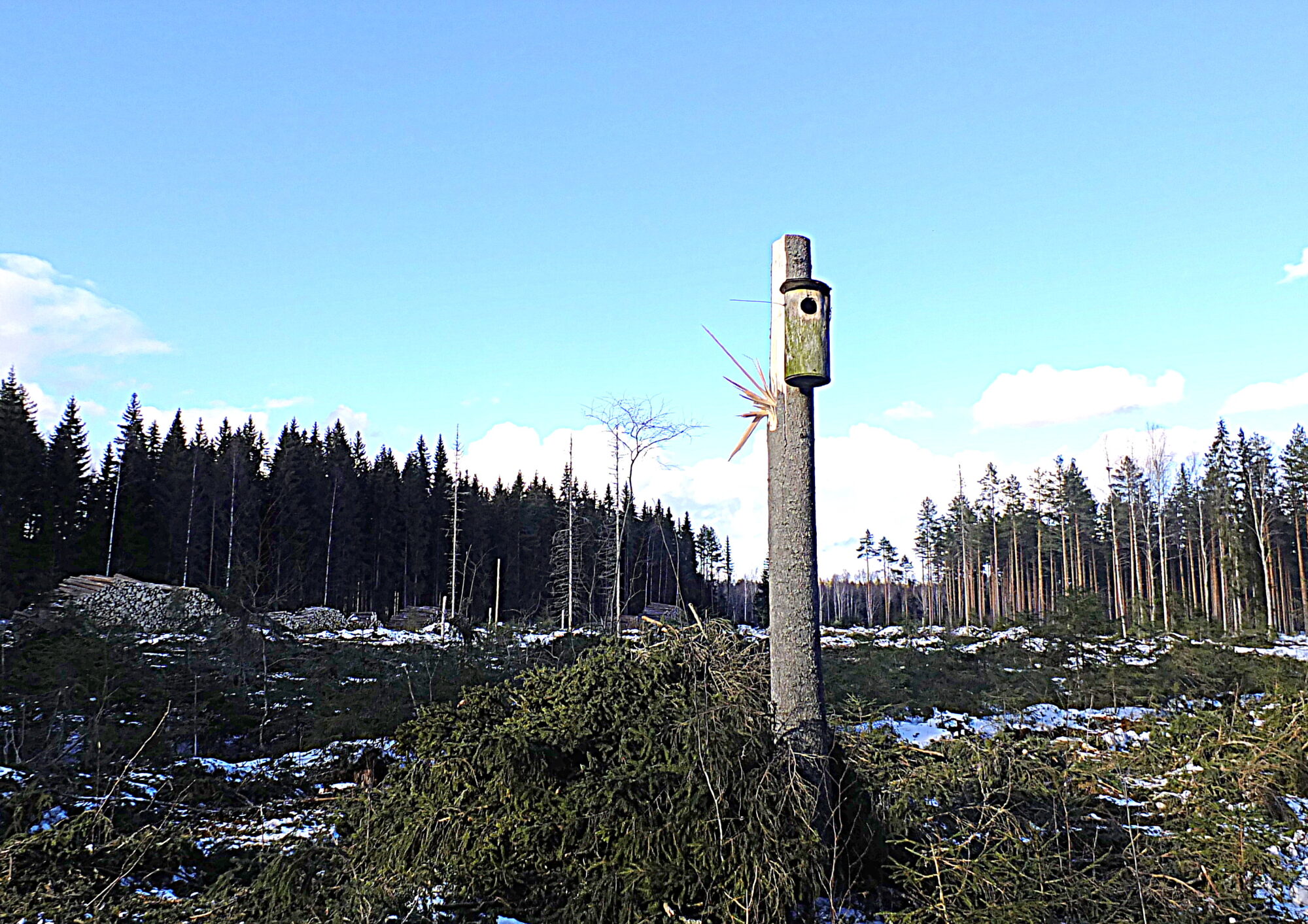 Valokuvaaja: Hannu Rasiranta Valokuvaaja: Hannu Rasiranta