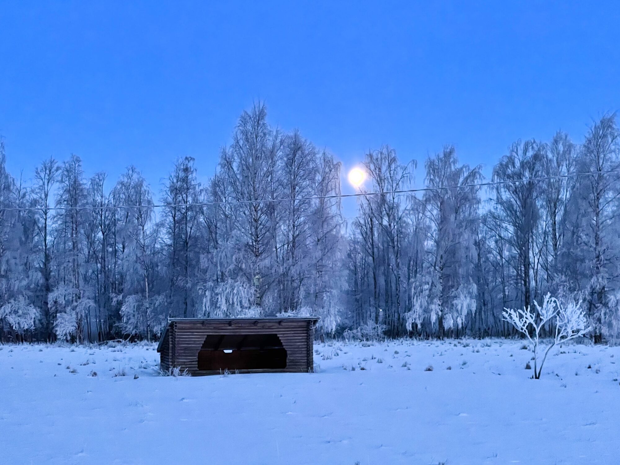 Valokuvaaja: Juhani Peltonen