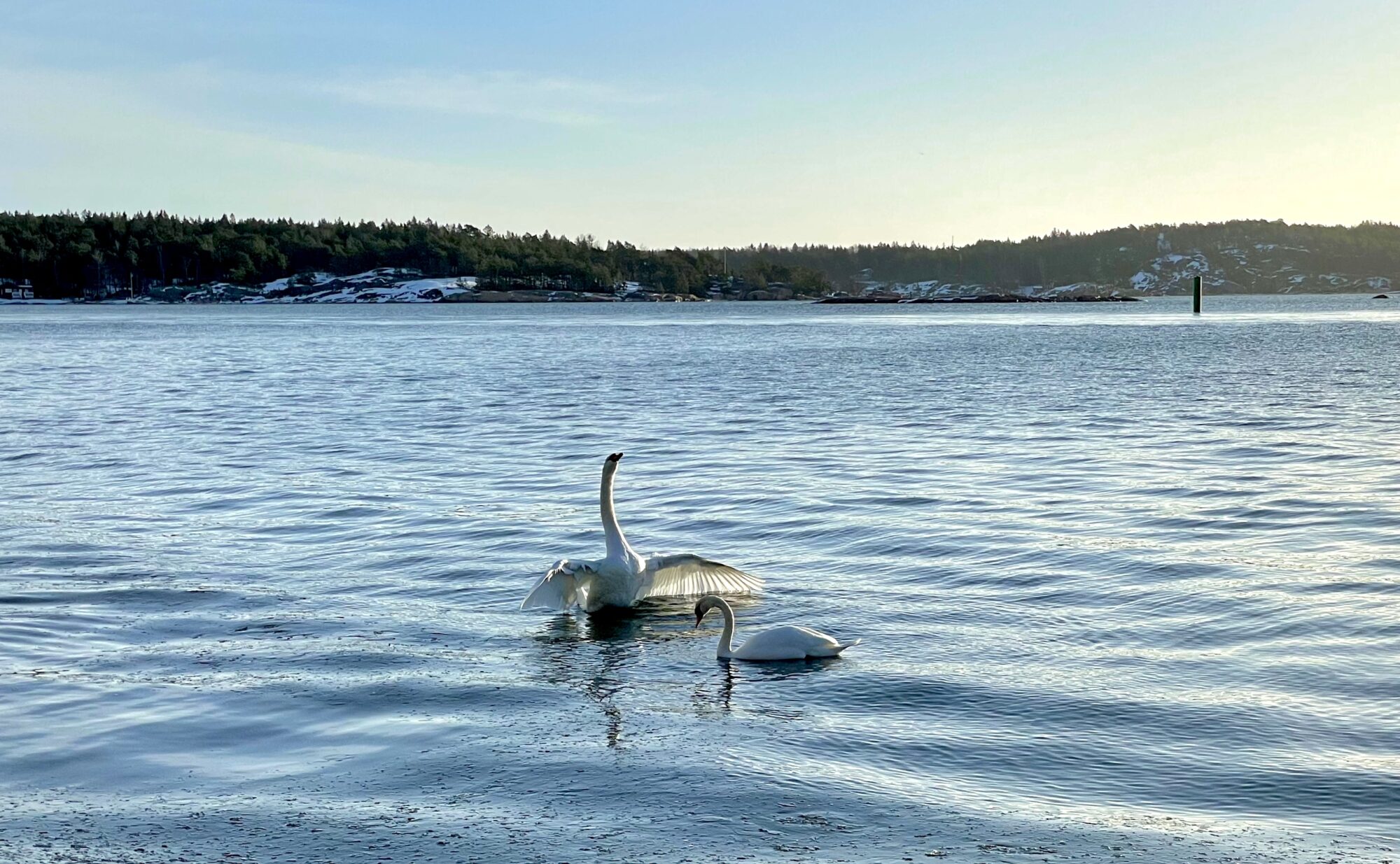 Valokuvaaja: Juhani Peltonen