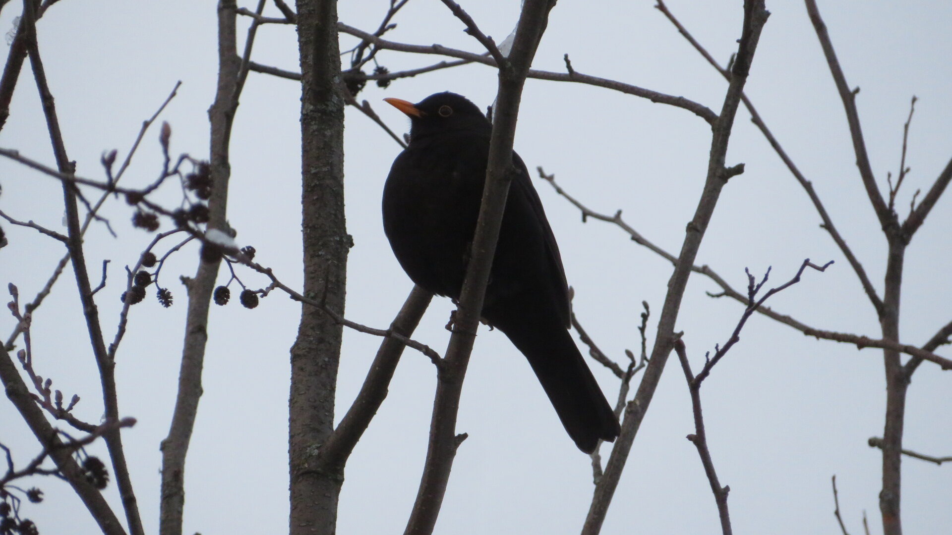 Valokuvaaja: Risto Kangassalo