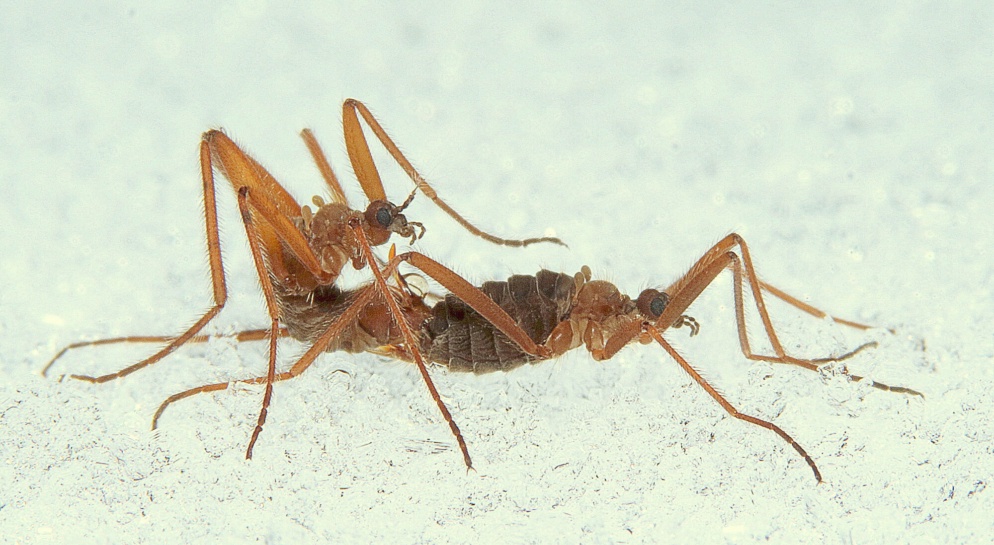 Valokuvaaja: Hannu Rasiranta