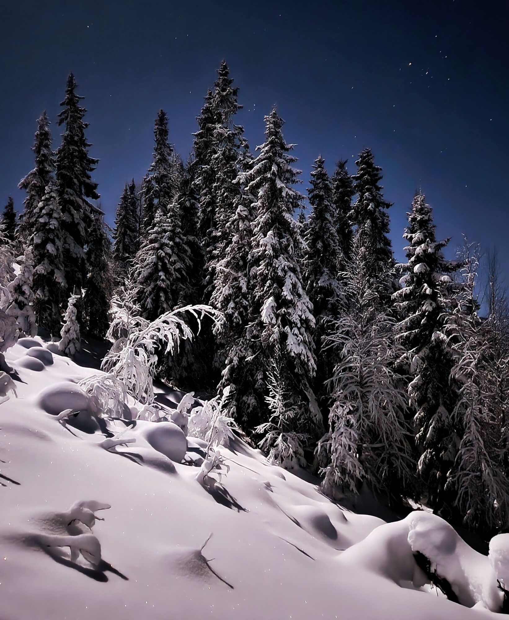 Valokuvaaja: @sydanluonnossa