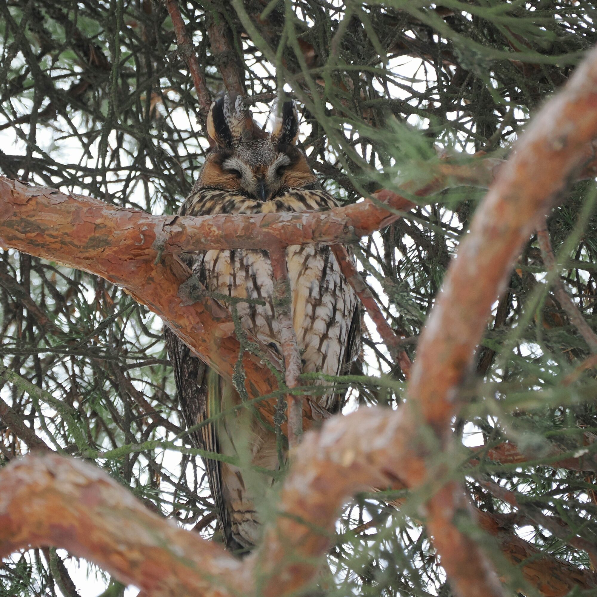 Valokuvaaja: Mikkola Irma