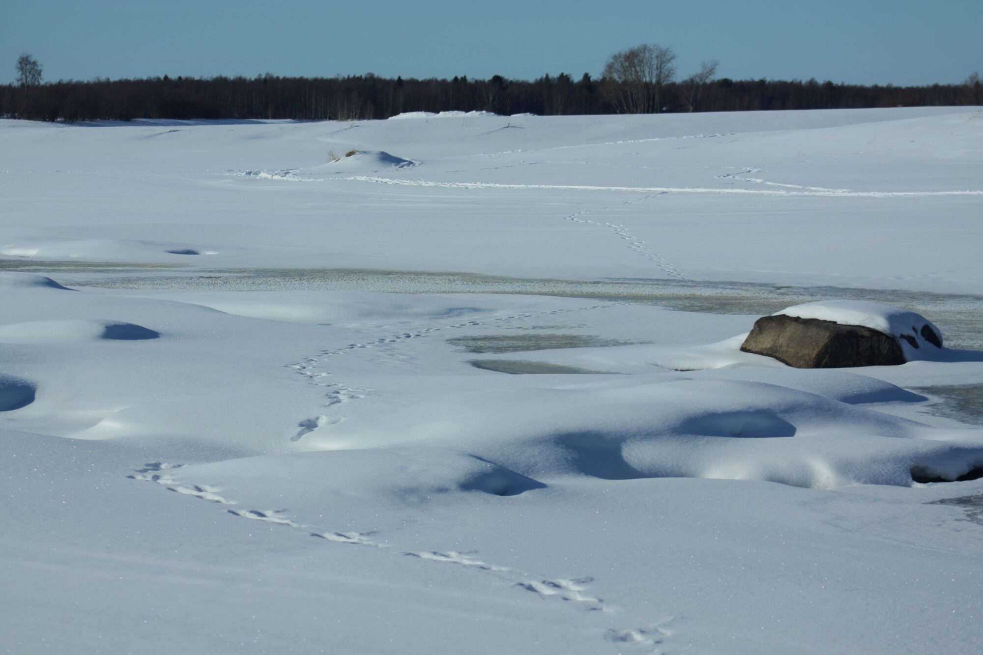 Valokuvaaja: Pirkko Siukonen