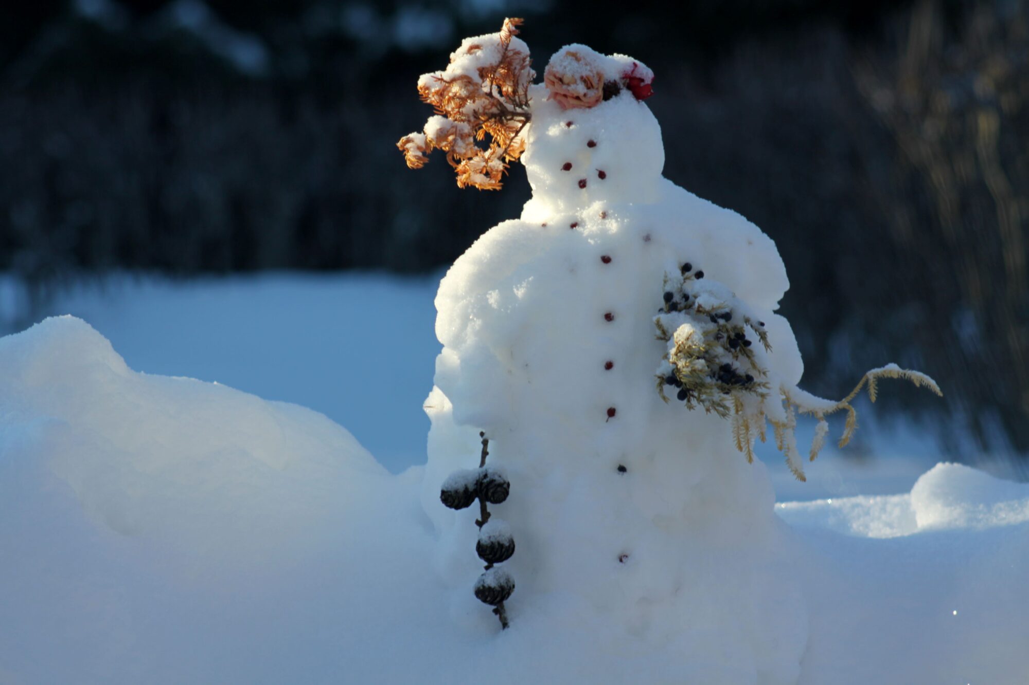 Valokuvaaja: Pirkko Siukonen