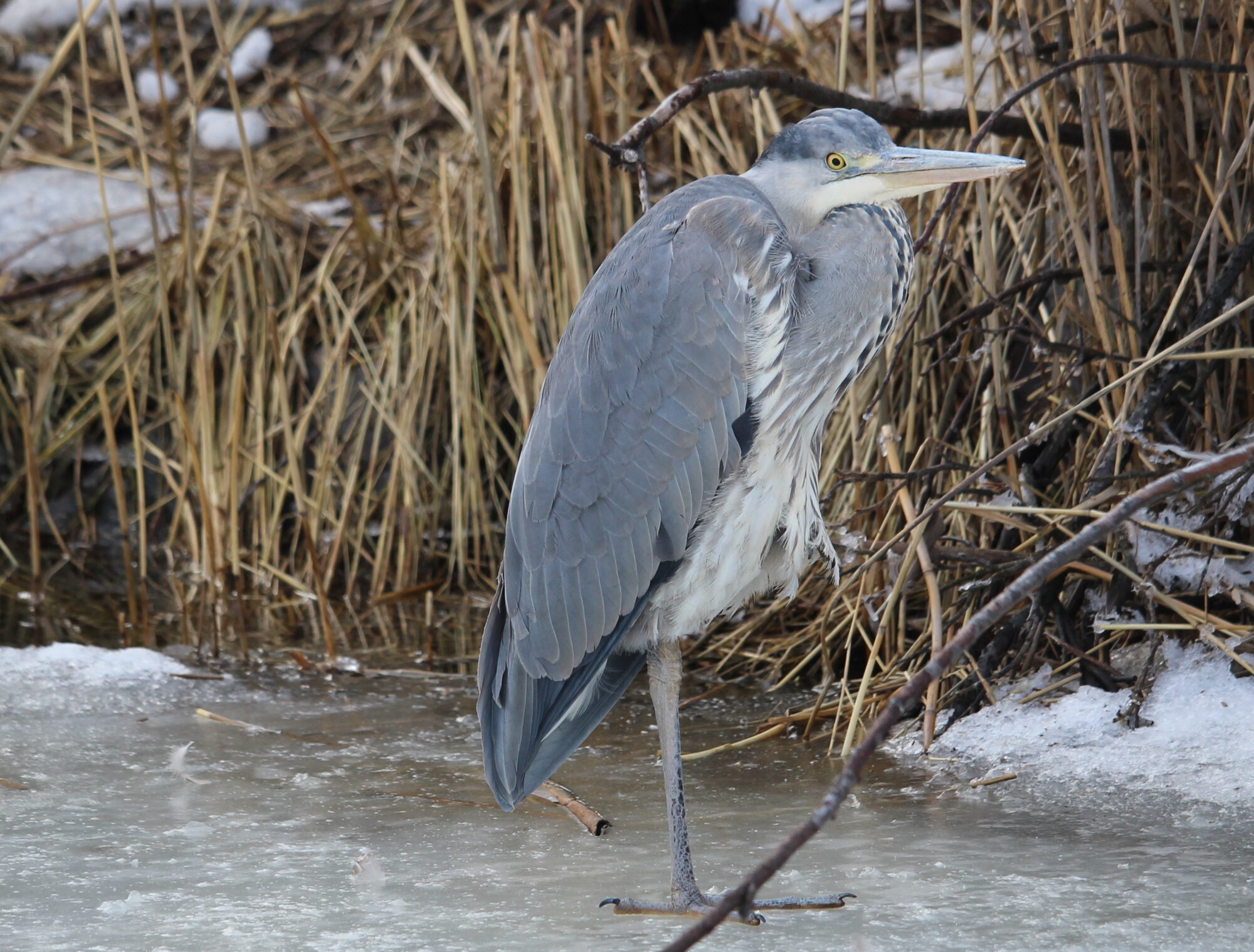 Valokuvaaja: Kirsi-Marja Joenpolvi