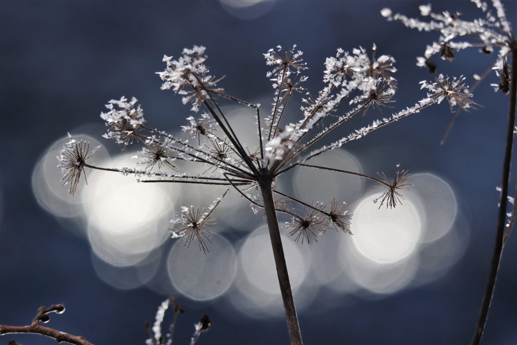 Valokuvaaja: Irja Lehtinen