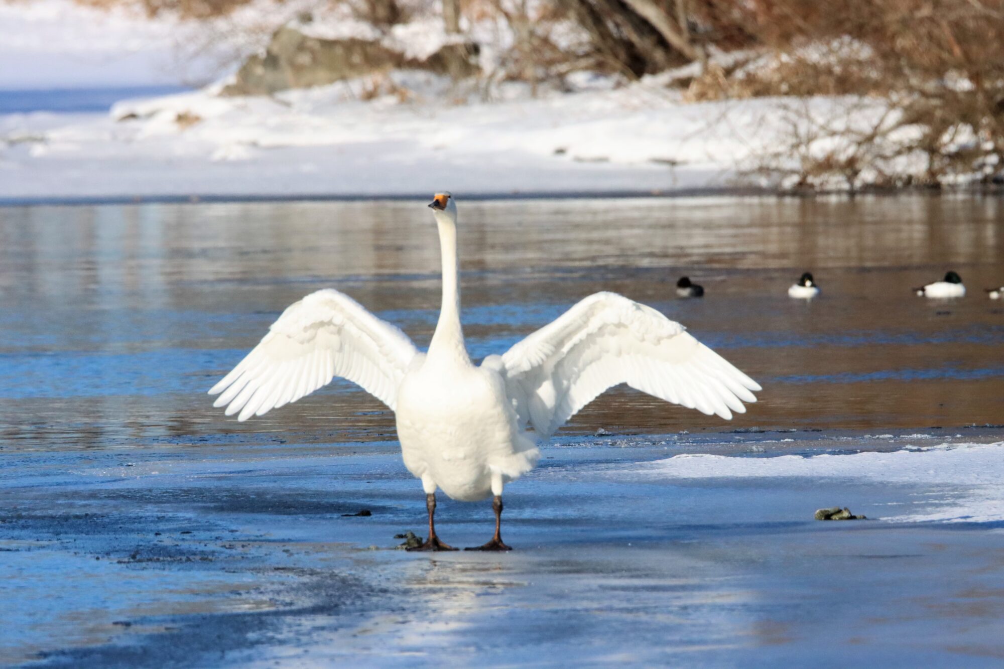 Valokuvaaja: Irja Lehtinen