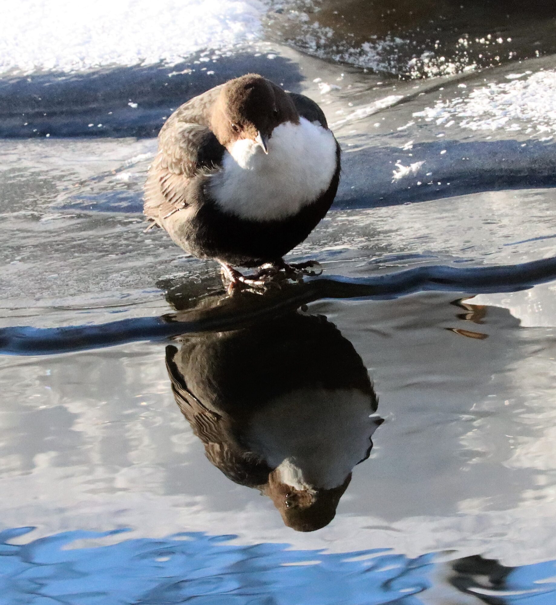 Valokuvaaja: Irja Lehtinen Valokuvaaja: Irja Lehtinen