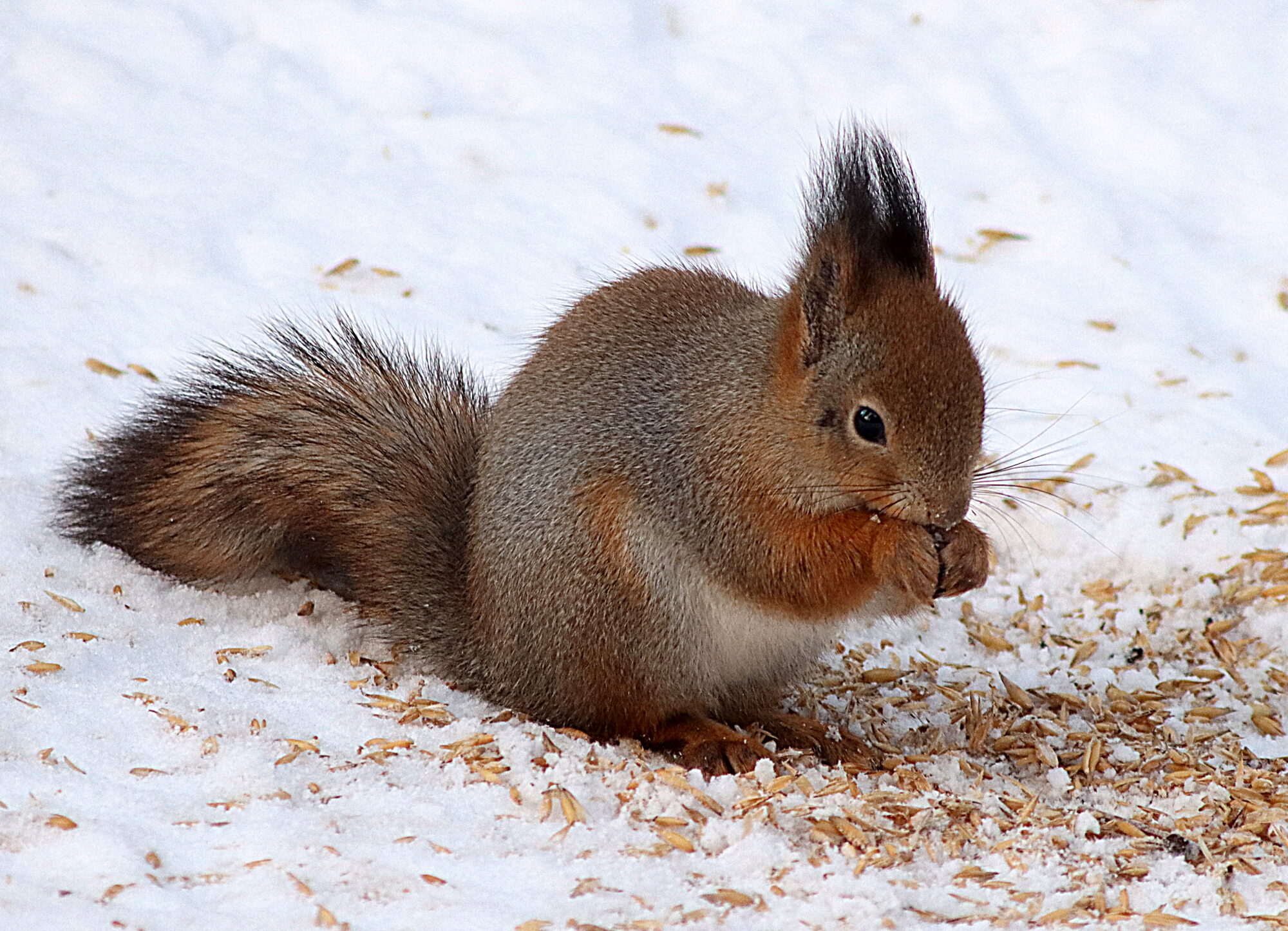 Valokuvaaja: Hannu Rasiranta