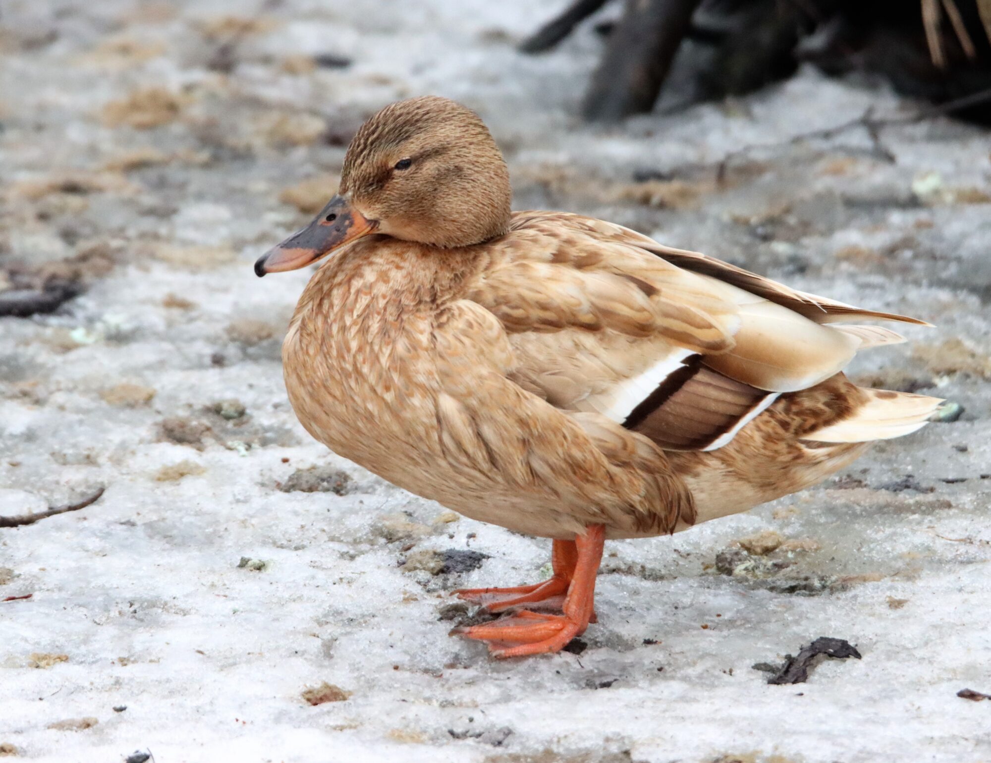 Valokuvaaja: Irja Lehtinen