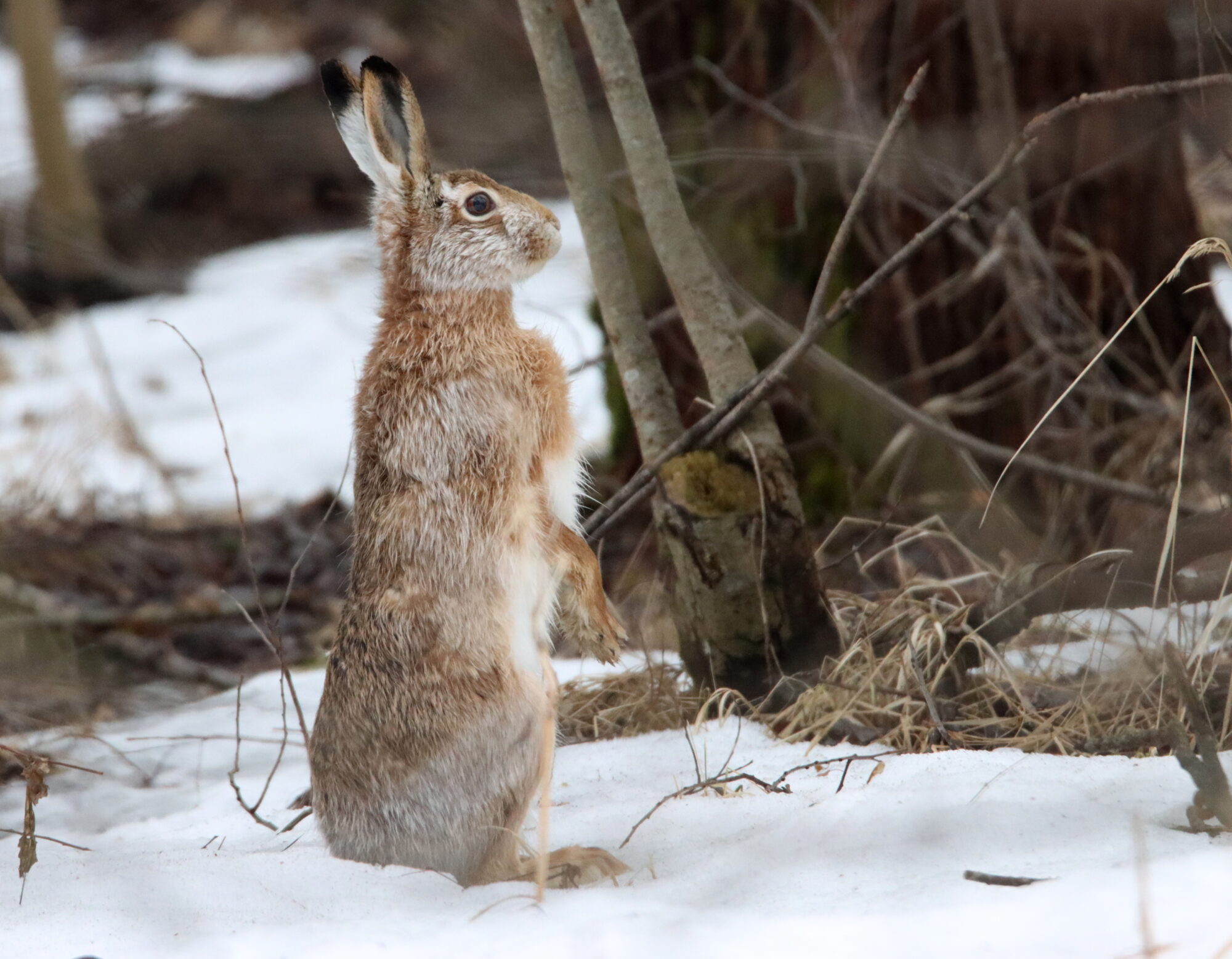Valokuvaaja: Irja Lehtinen