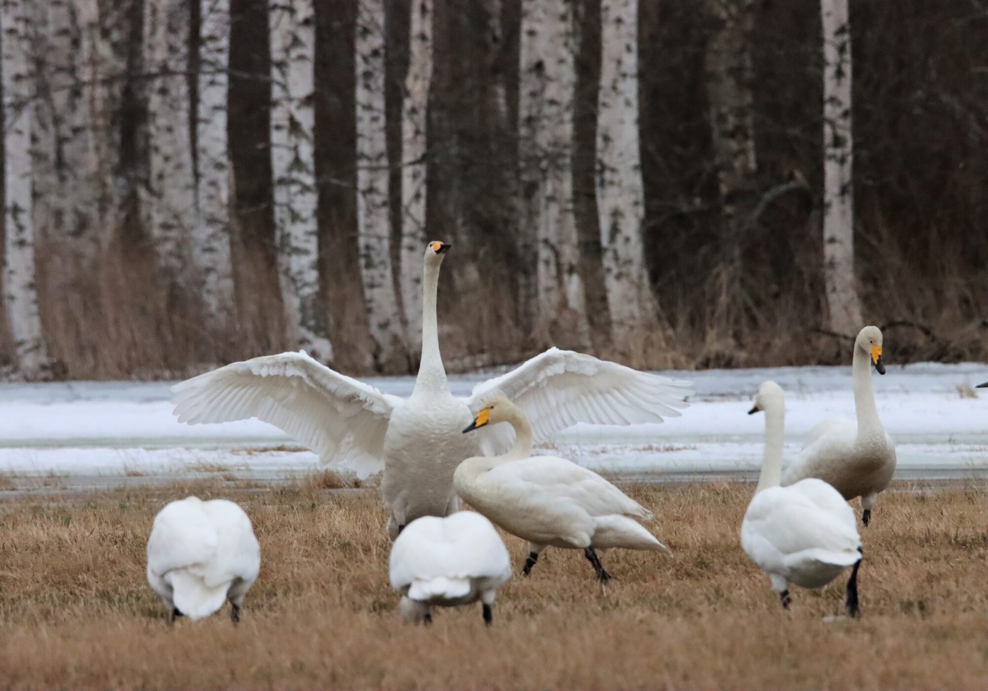Valokuvaaja: Irja Lehtinen