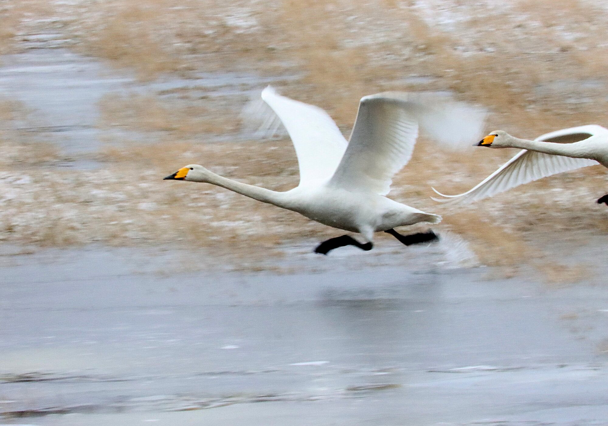 Valokuvaaja: Irja Lehtinen