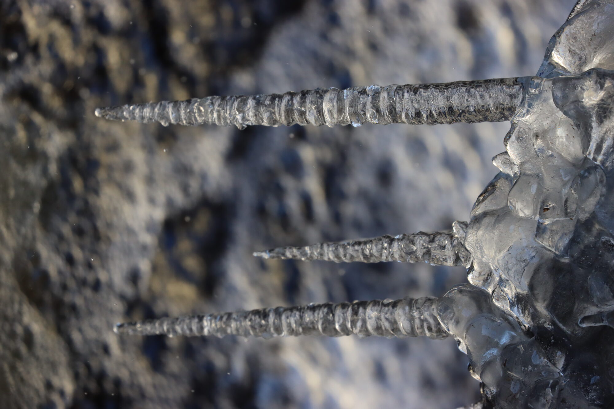 Valokuvaaja: Susanna Hannula