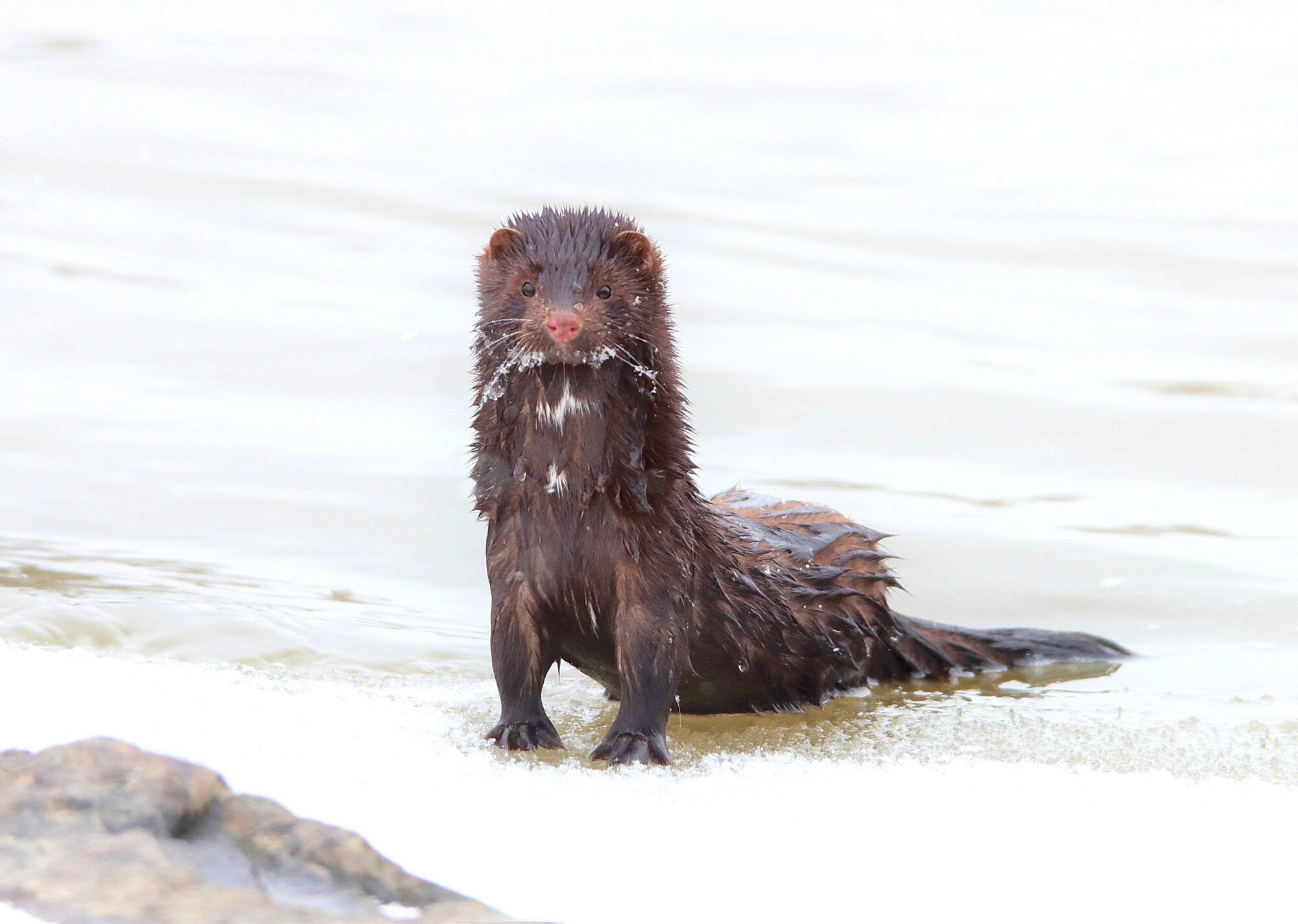 Valokuvaaja: Irja Lehtinen