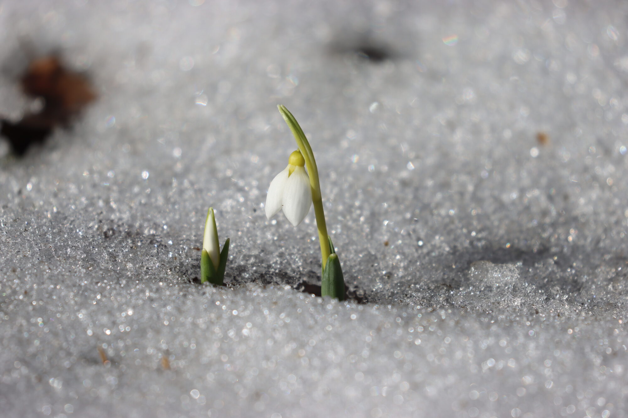 Valokuvaaja: Susanna Hannula