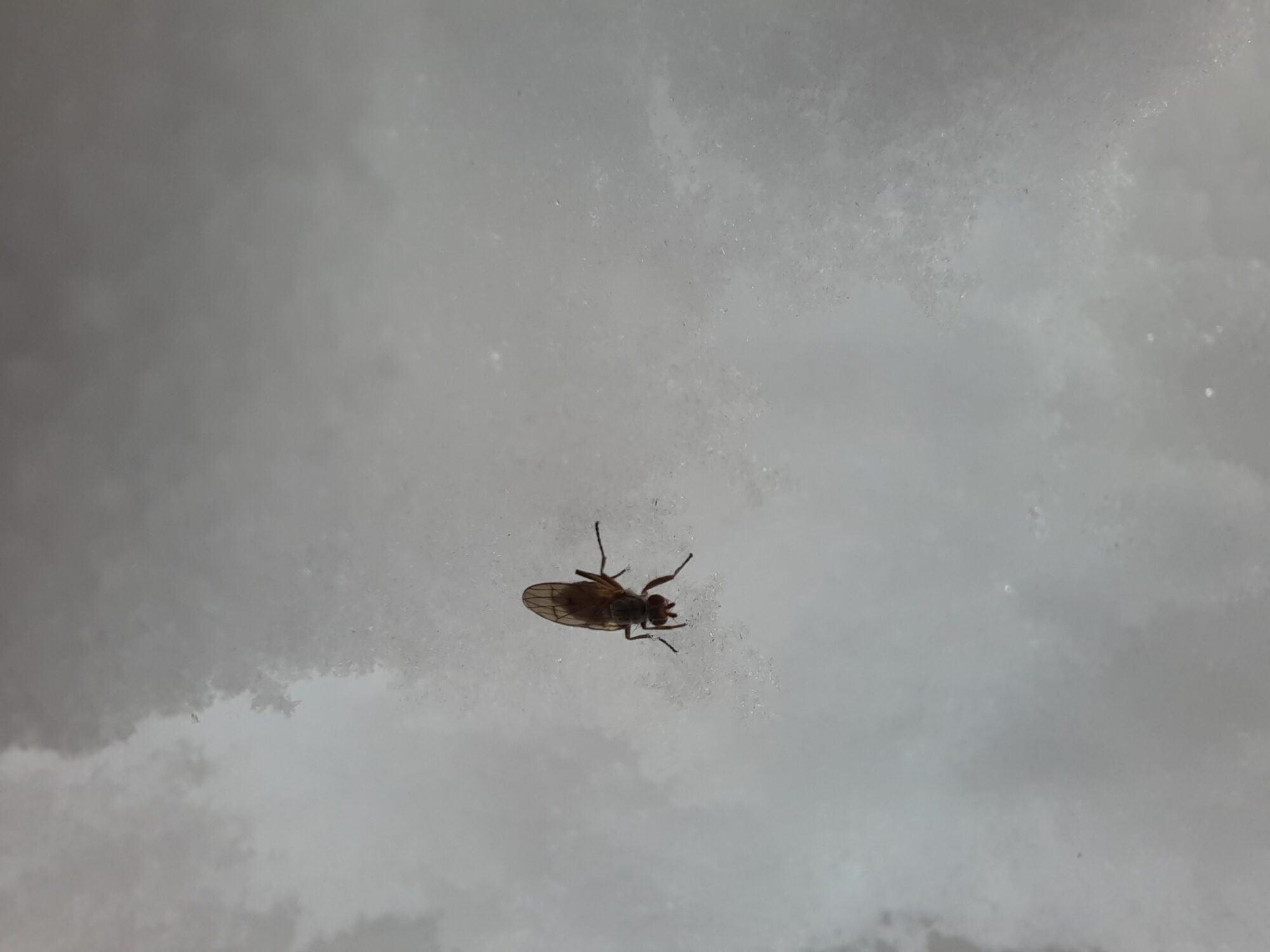 Valokuvaaja: Timo Lintusaari