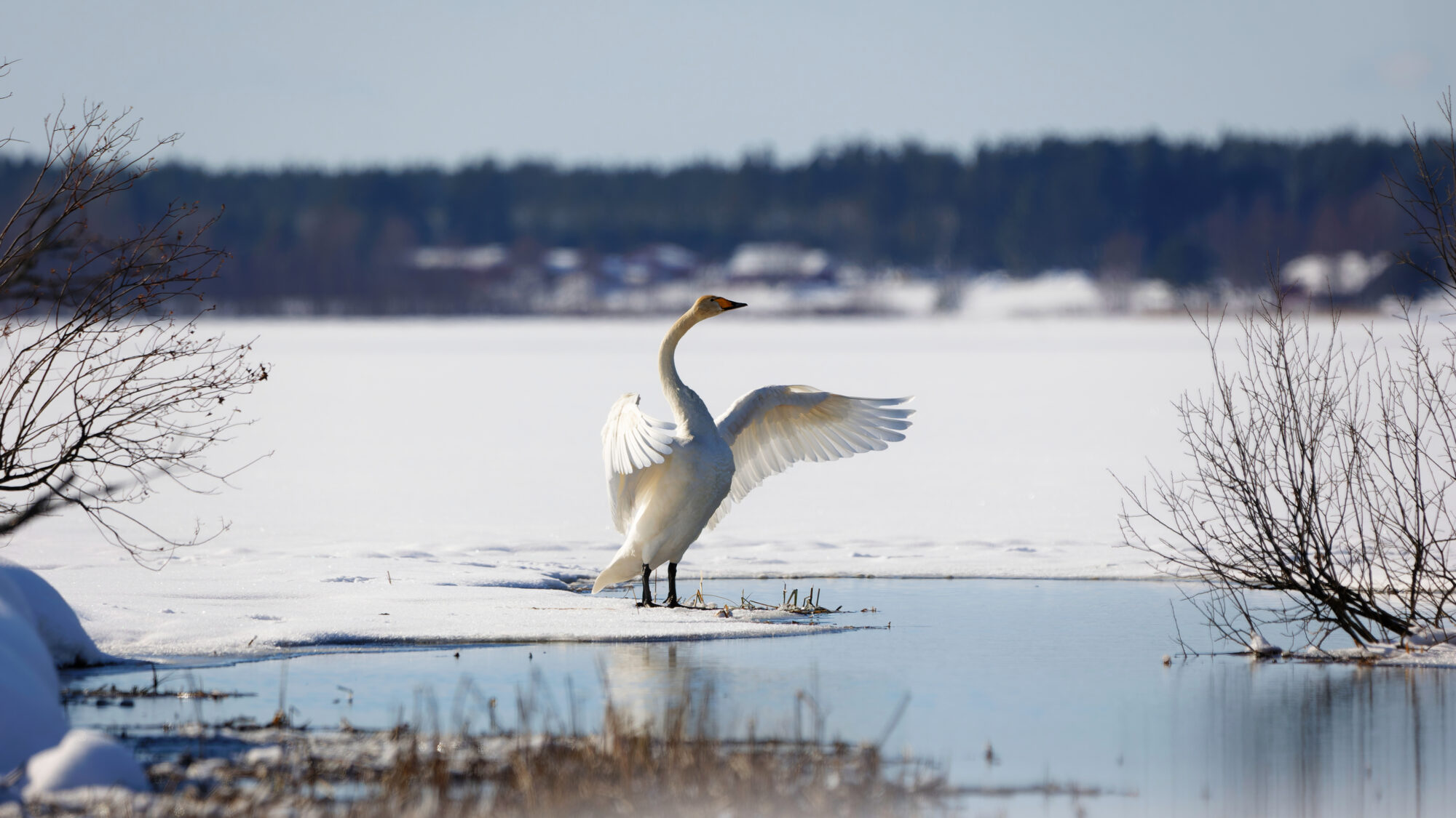 Valokuvaaja: TOMMI KUJALA