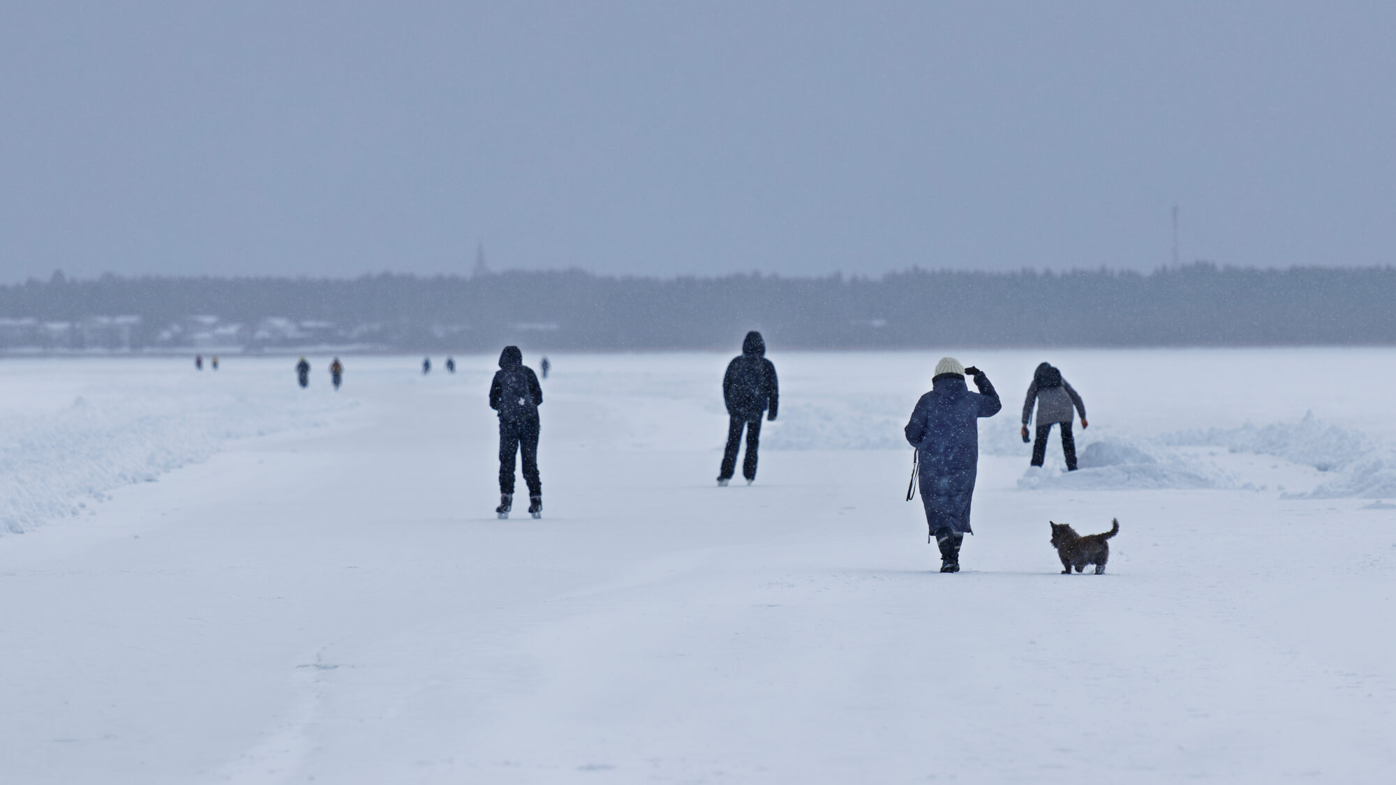 Valokuvaaja: TOMMI KUJALA