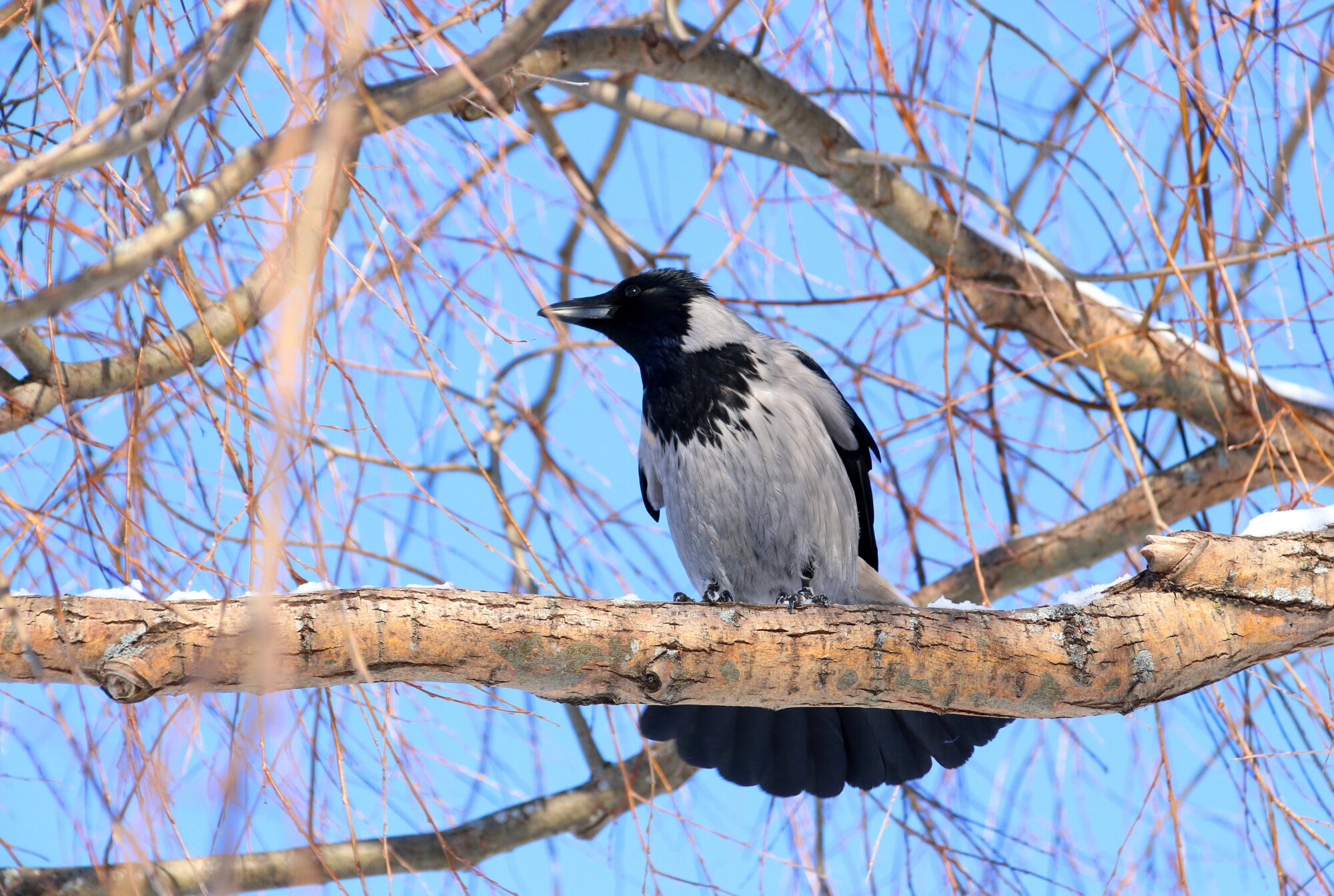 Valokuvaaja: Tuukka Pahtamaa