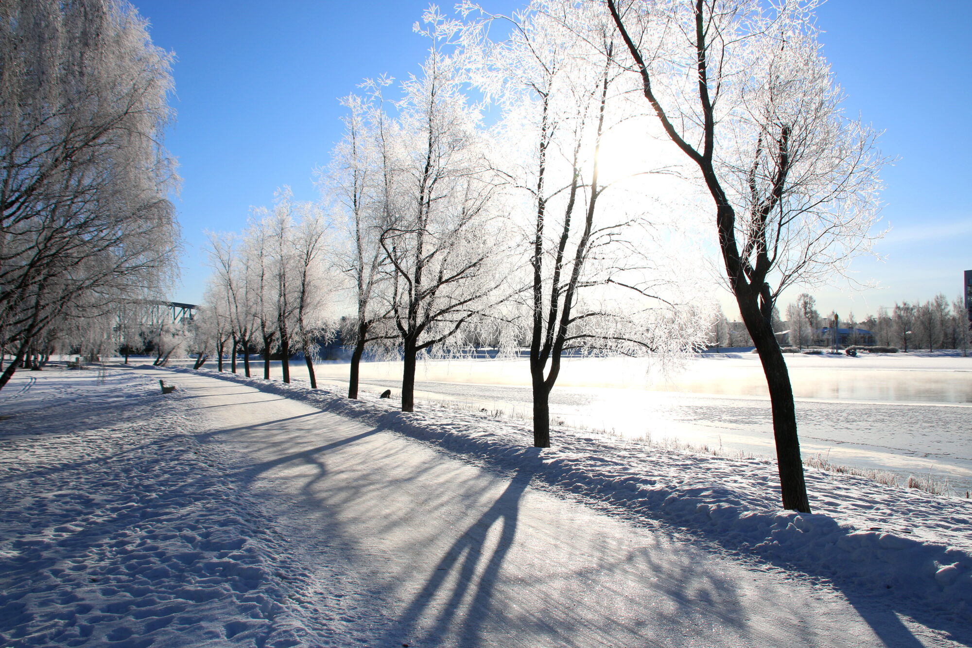 Valokuvaaja: Tuukka Pahtamaa Valokuvaaja: Tuukka Pahtamaa