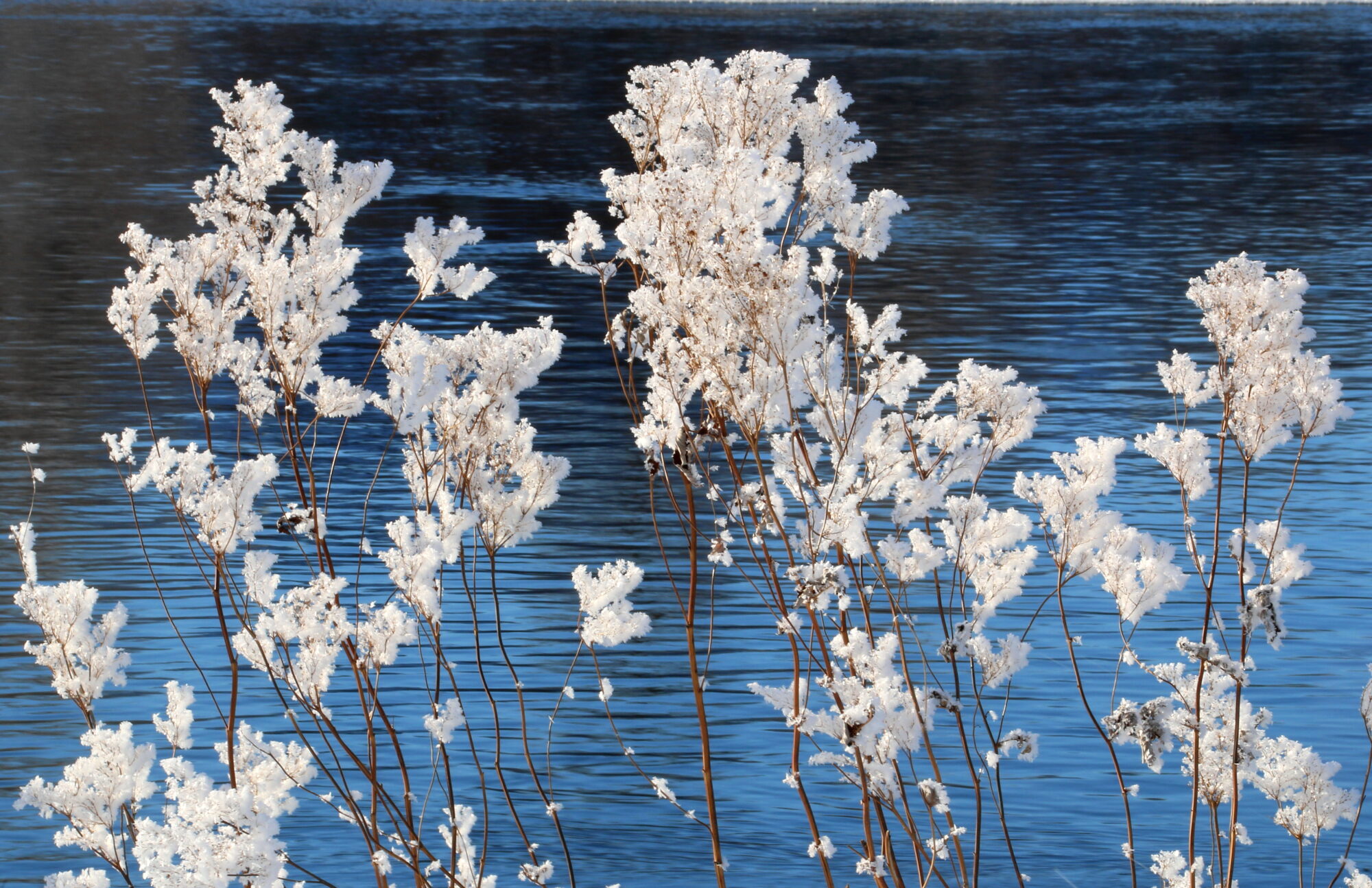 Valokuvaaja: Tuukka Pahtamaa