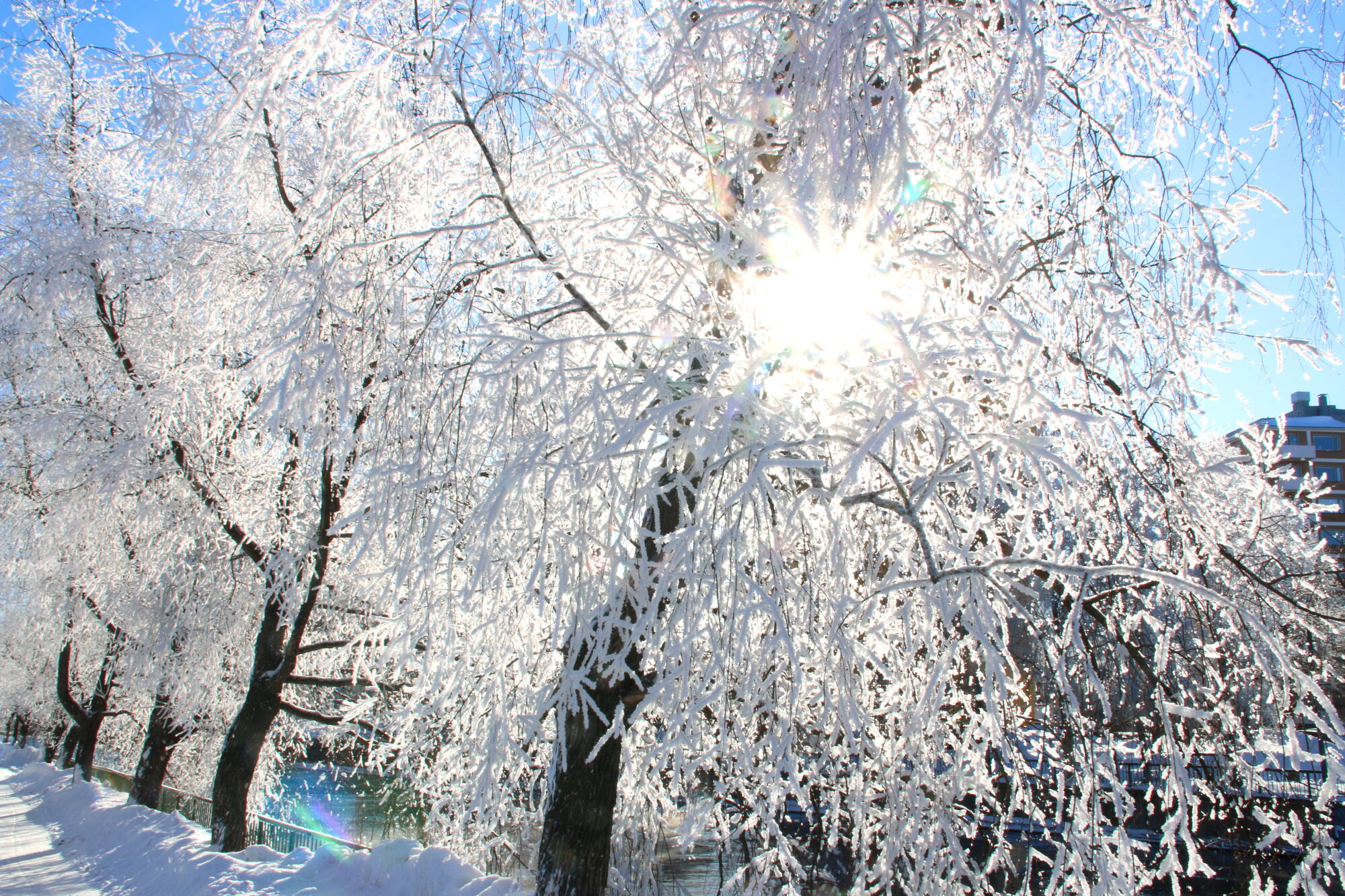 Valokuvaaja: Tuukka Pahtamaa