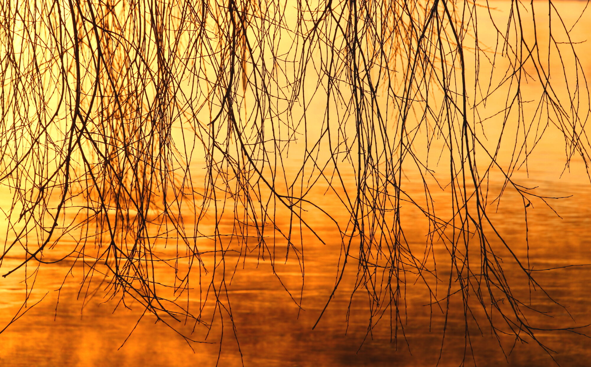 Valokuvaaja: Tuukka Pahtamaa