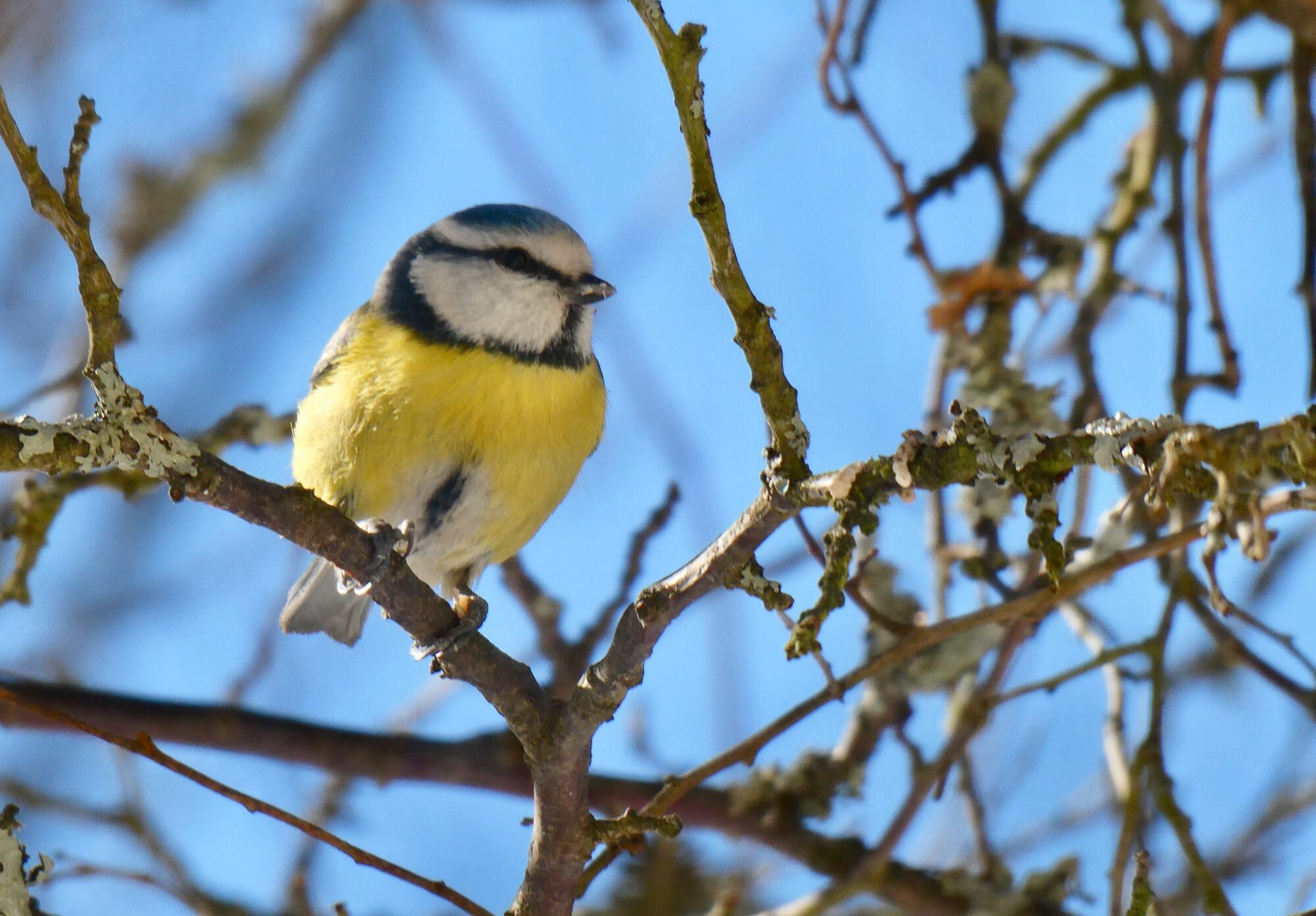 Valokuvaaja: Liisa Niiva-Korpela