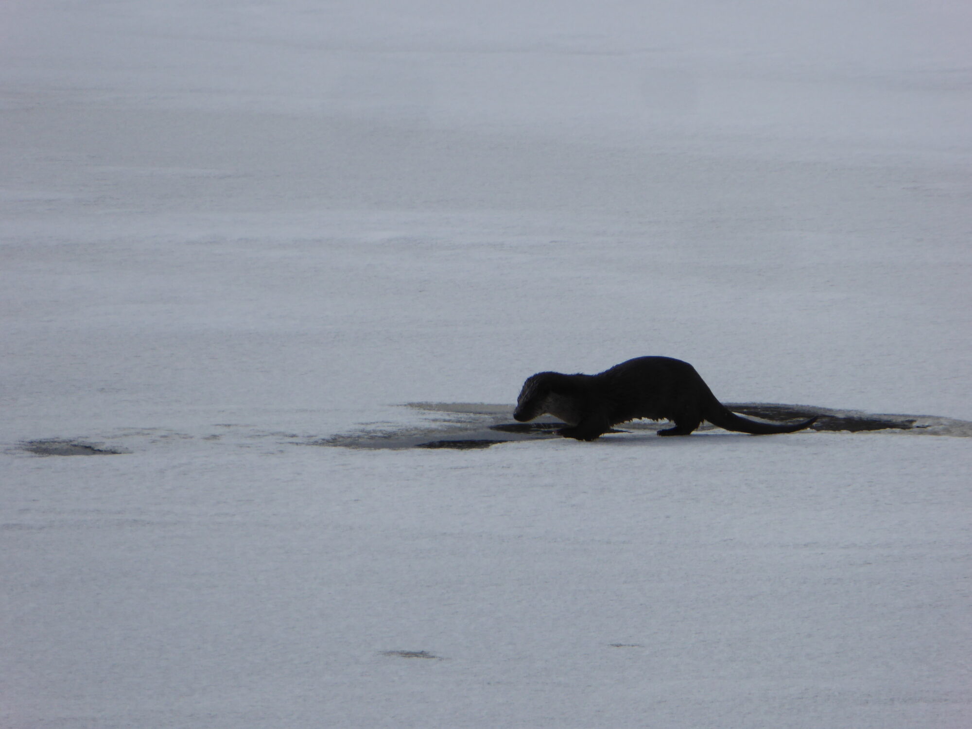 Valokuvaaja: Toni Asikainen