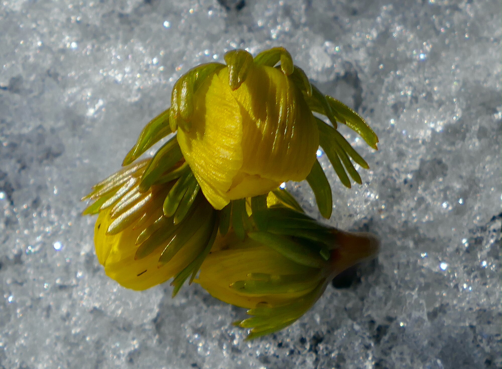 Valokuvaaja: Marjut Ikonen