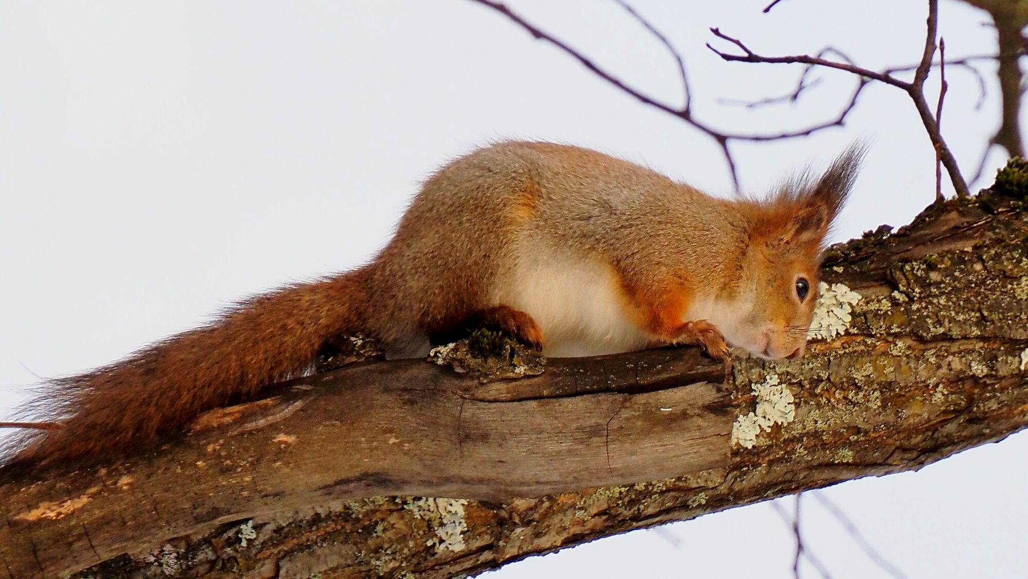 Valokuvaaja: Arja Valtonen
