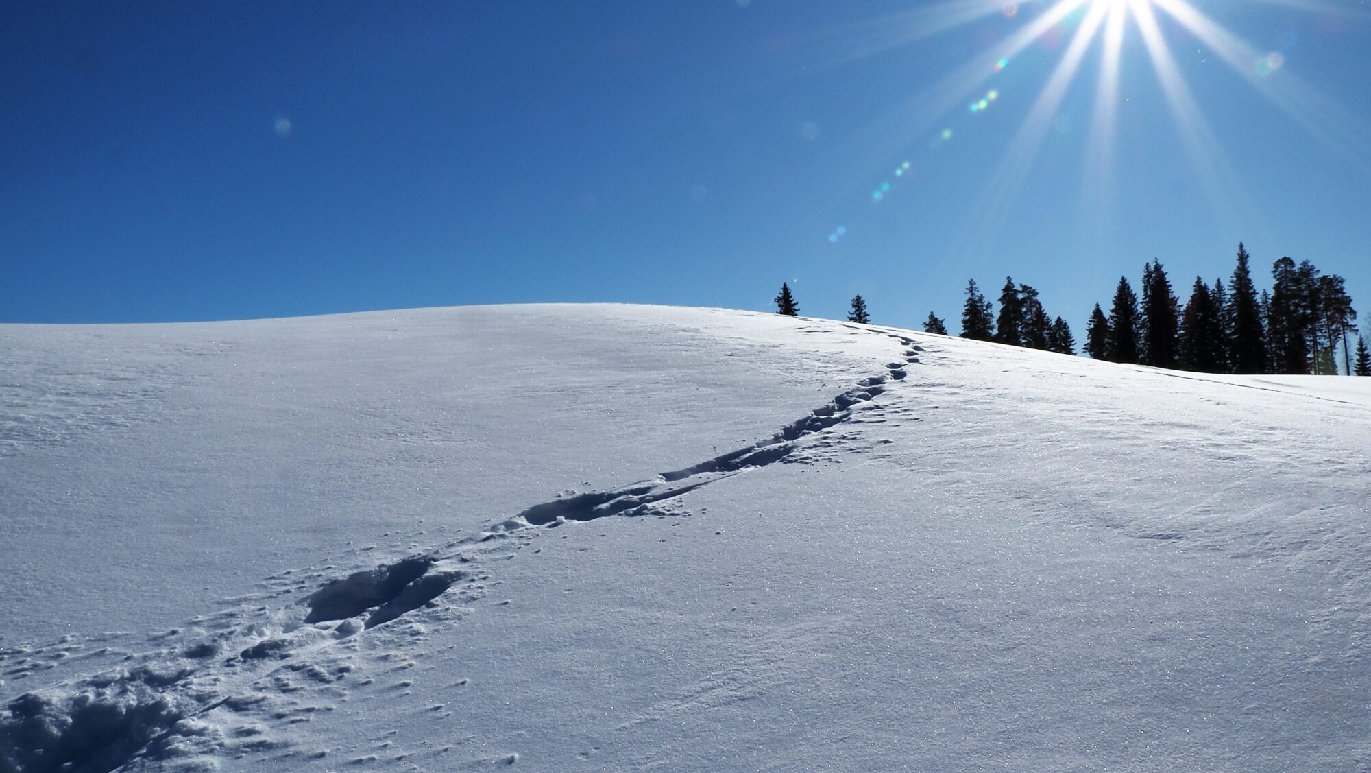 Valokuvaaja: Arja Valtonen