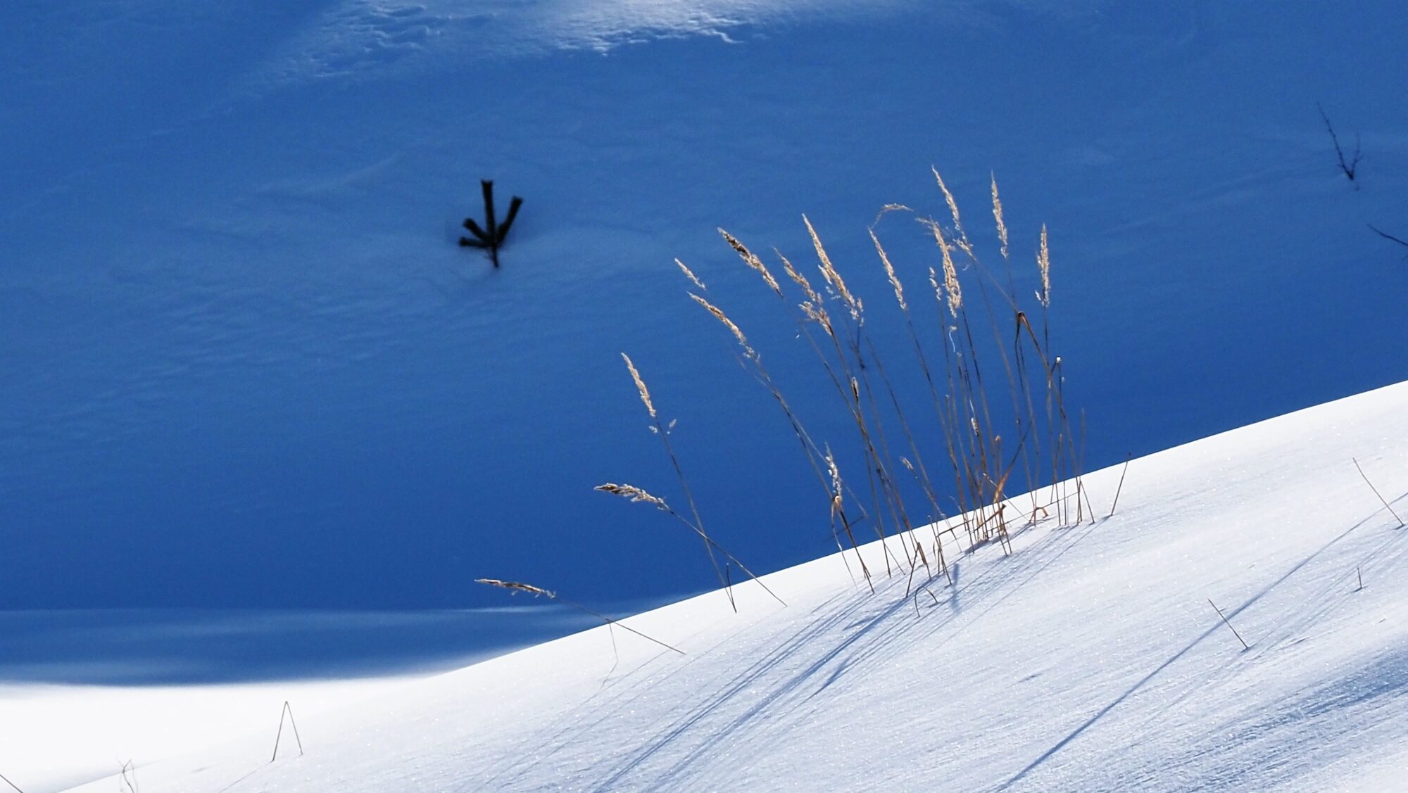 Valokuvaaja: Arja Valtonen Valokuvaaja: Arja Valtonen