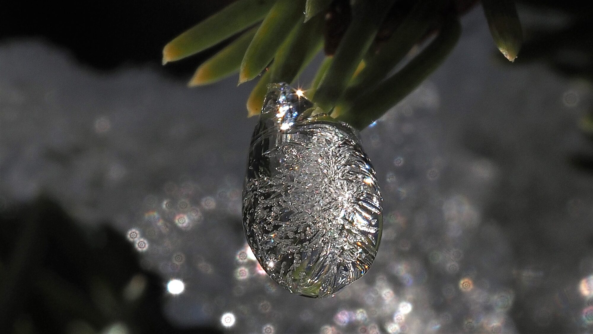 Valokuvaaja: Arja Valtonen