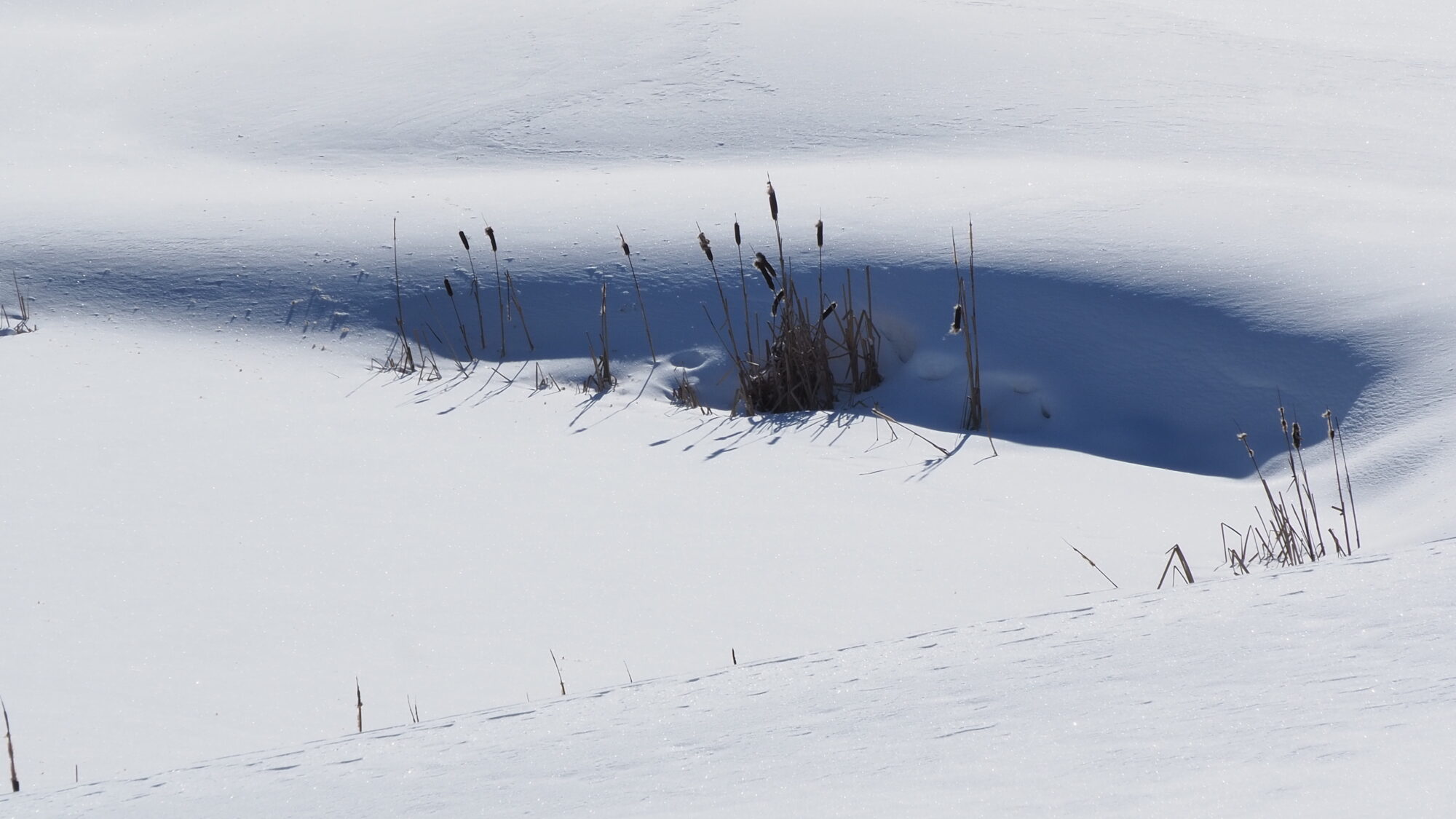 Valokuvaaja: Martti Valtonen