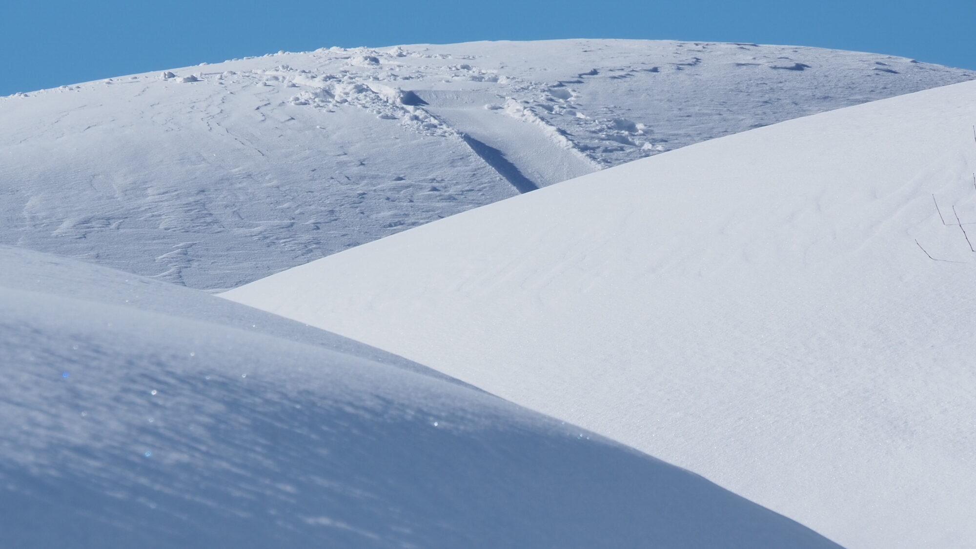 Valokuvaaja: Martti Valtonen