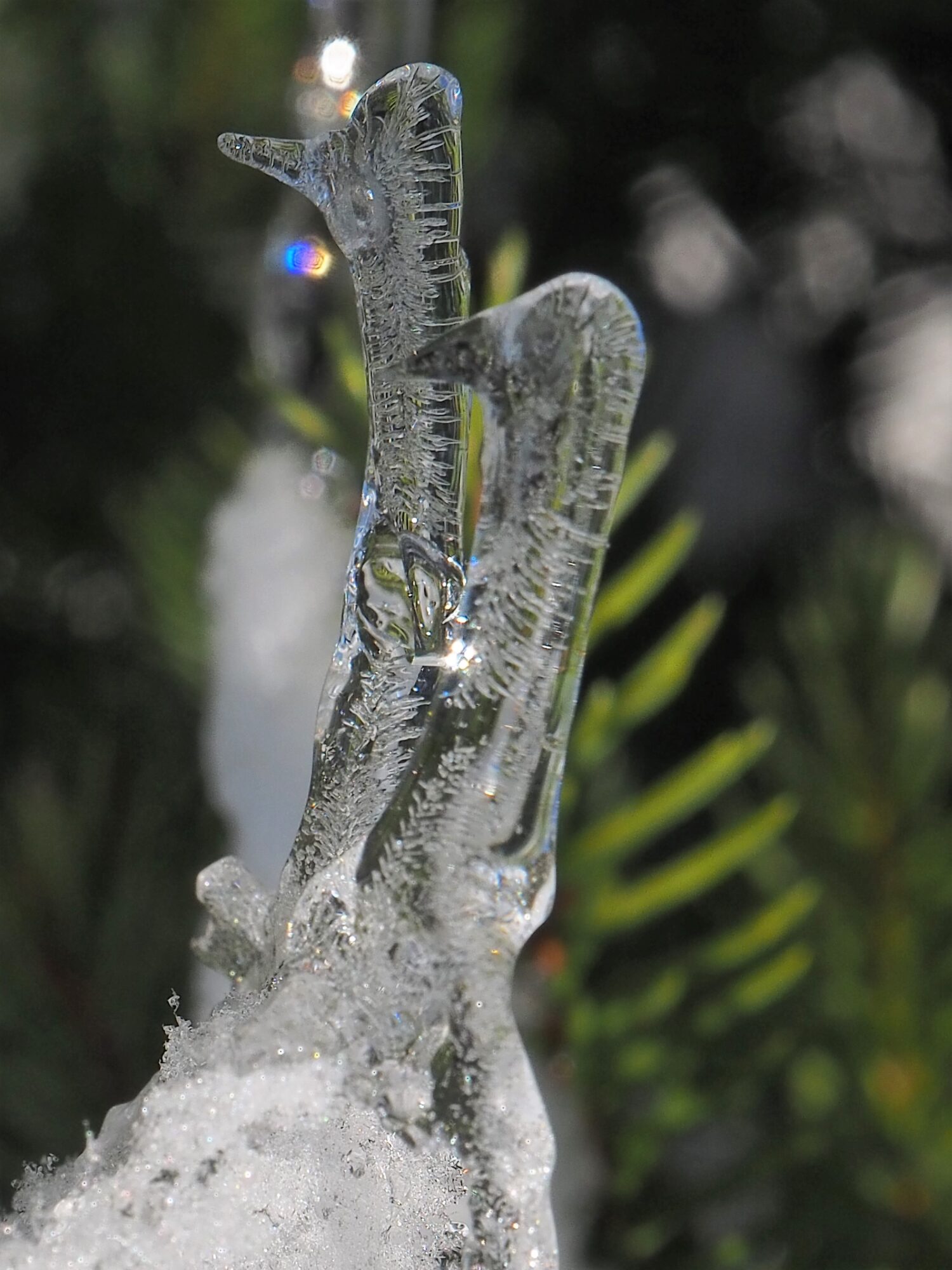 Valokuvaaja: Martti Valtonen